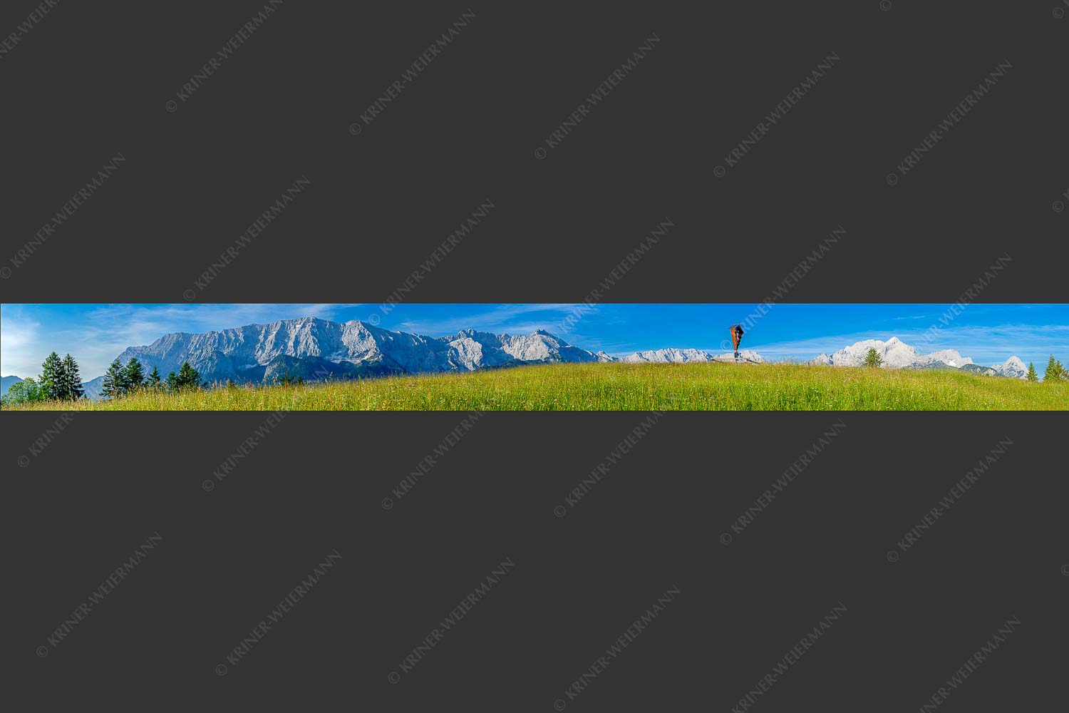 Blick über Blumenwiese am Eckbauer zum Wettersteingebirge - Traumhafte Wiesen 10:1  -- Feldkreuz Eckbauer - mehr Infos bei www.Kriner-Weiermann.de