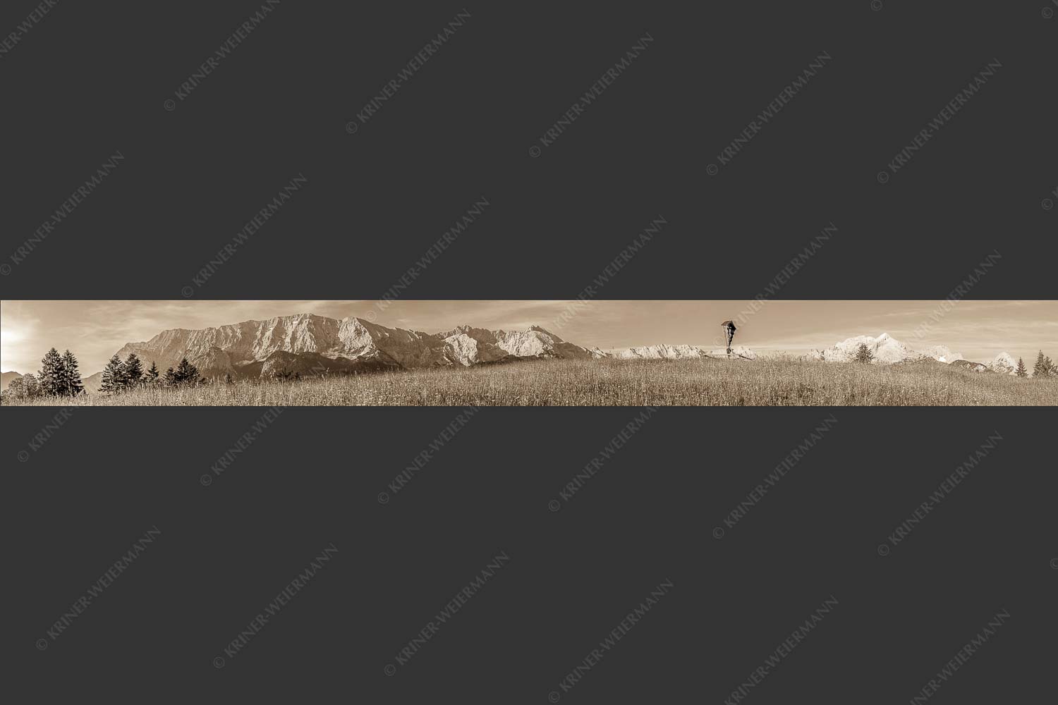 Blick über Blumenwiese am Eckbauer zum Wettersteingebirge - Traumhafte Wiesen 10:1 sepia -- Feldkreuz Eckbauer - mehr Infos bei www.Kriner-Weiermann.de