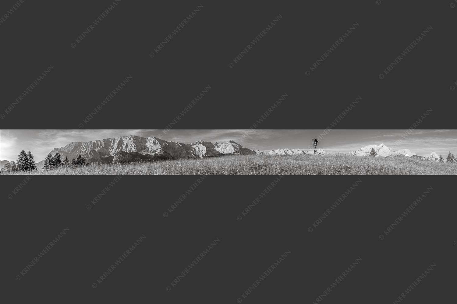 Blick über Blumenwiese am Eckbauer zum Wettersteingebirge - Traumhafte Wiesen 10:1 sw -- Feldkreuz Eckbauer - mehr Infos bei www.Kriner-Weiermann.de