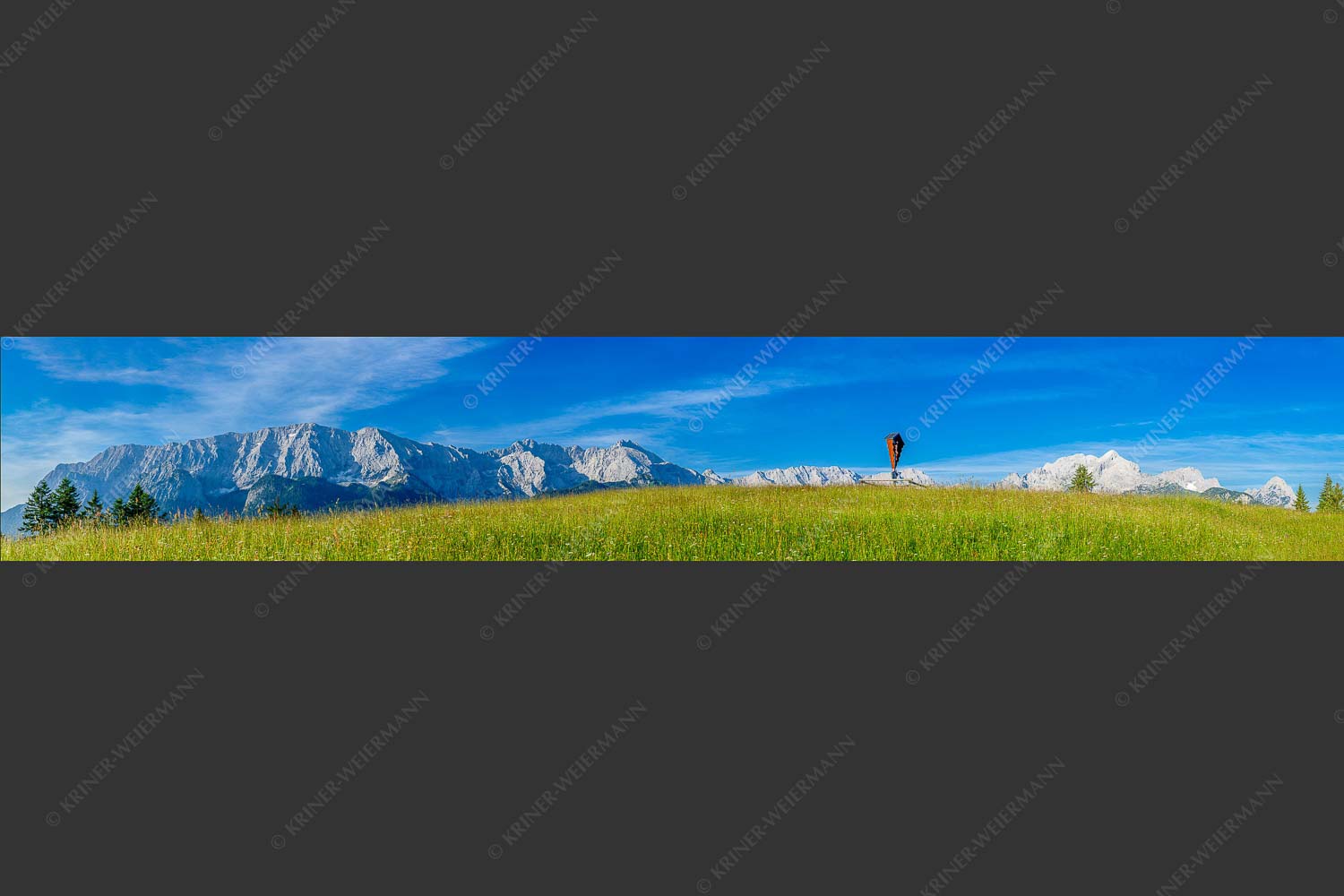 Blick über Blumenwiese am Eckbauer zum Wettersteingebirge - Traumhafte Wiesen 6:1  -- Feldkreuz Eckbauer - mehr Infos bei www.Kriner-Weiermann.de