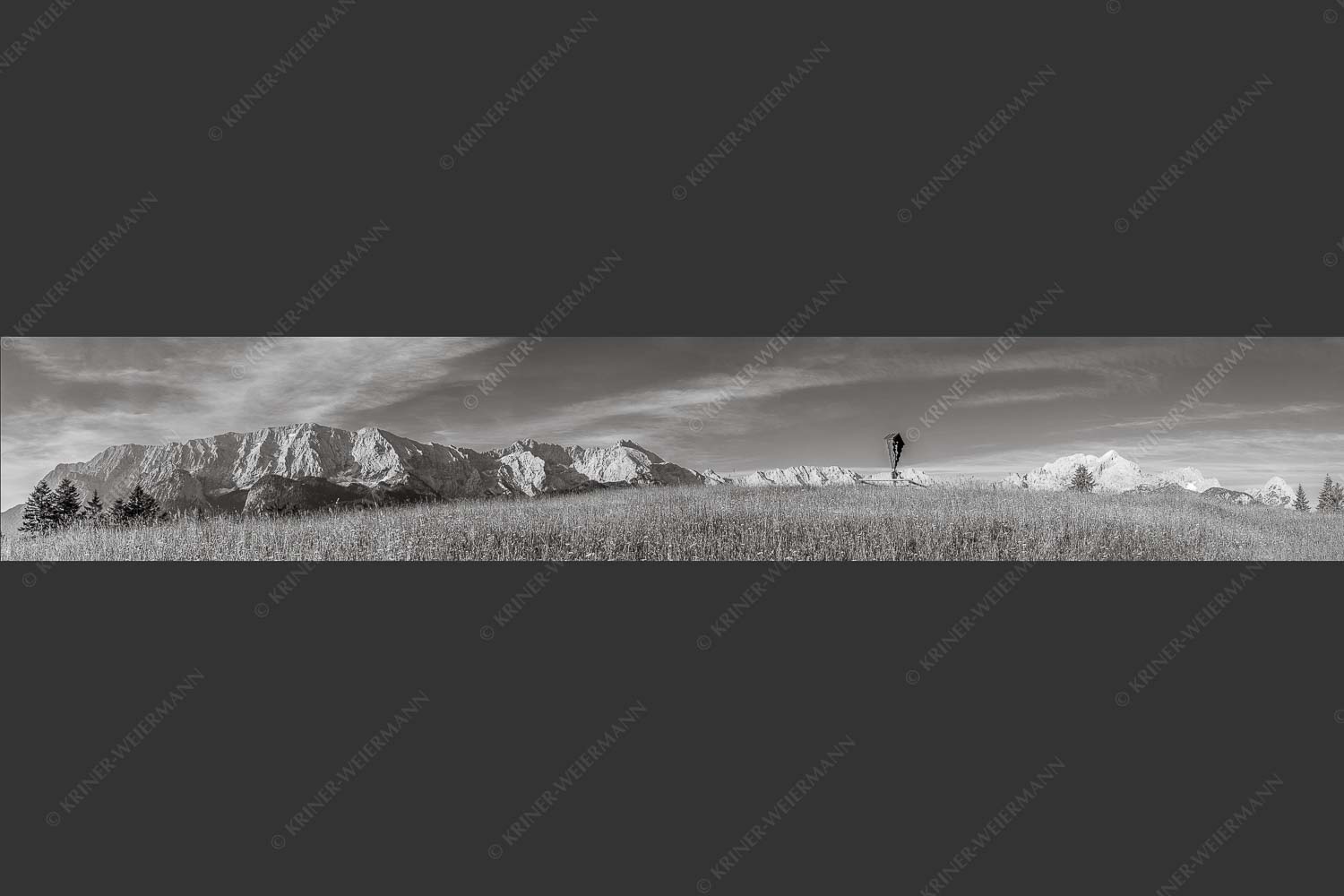 Blick über Blumenwiese am Eckbauer zum Wettersteingebirge - Traumhafte Wiesen 6:1 sw -- Feldkreuz Eckbauer - mehr Infos bei www.Kriner-Weiermann.de