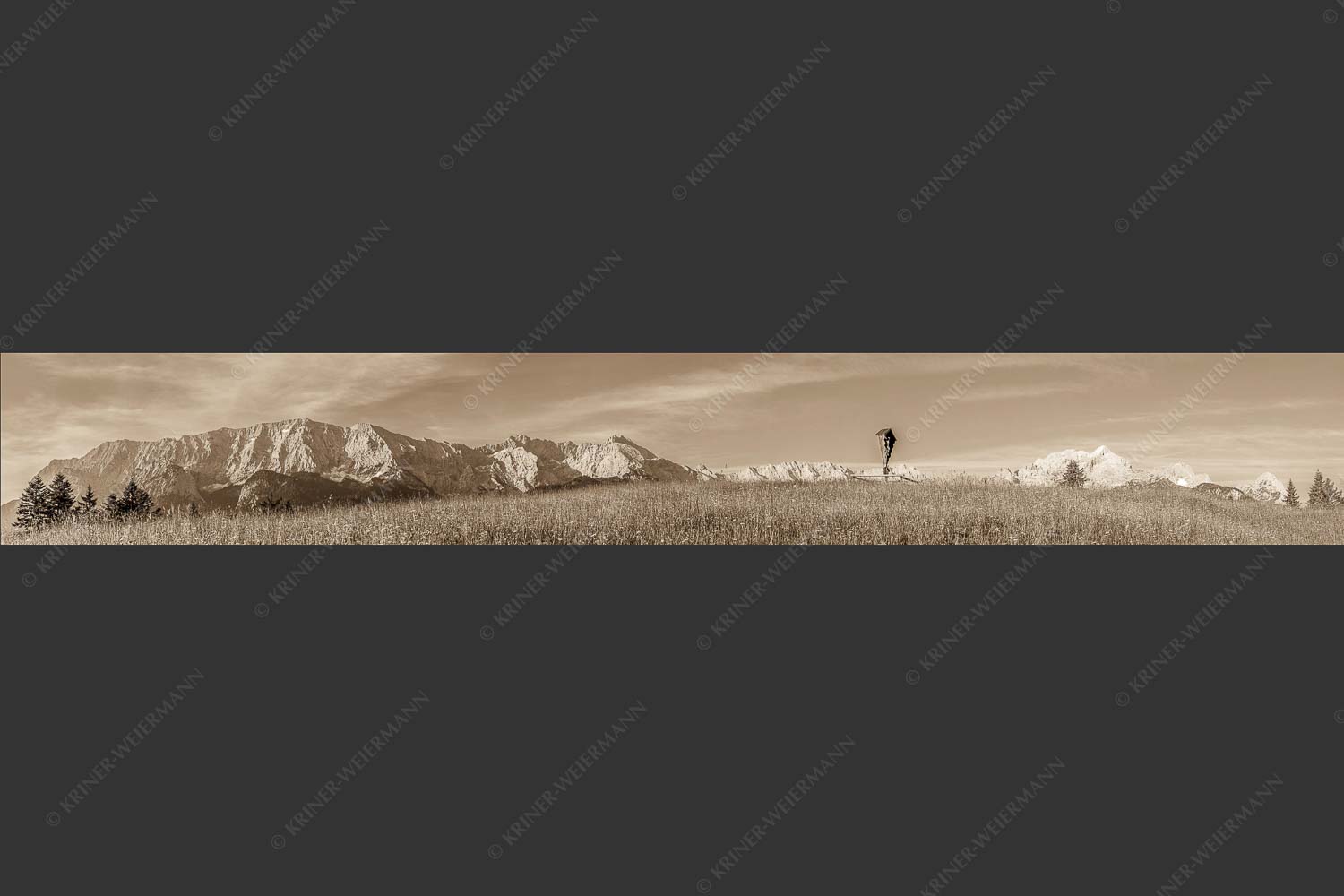 Blick über Blumenwiese am Eckbauer zum Wettersteingebirge - Traumhafte Wiesen 7:1 sepia -- Feldkreuz Eckbauer - mehr Infos bei www.Kriner-Weiermann.de