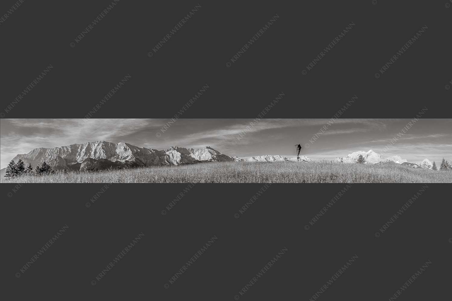 Blick über Blumenwiese am Eckbauer zum Wettersteingebirge - Traumhafte Wiesen 7:1 sw -- Feldkreuz Eckbauer - mehr Infos bei www.Kriner-Weiermann.de