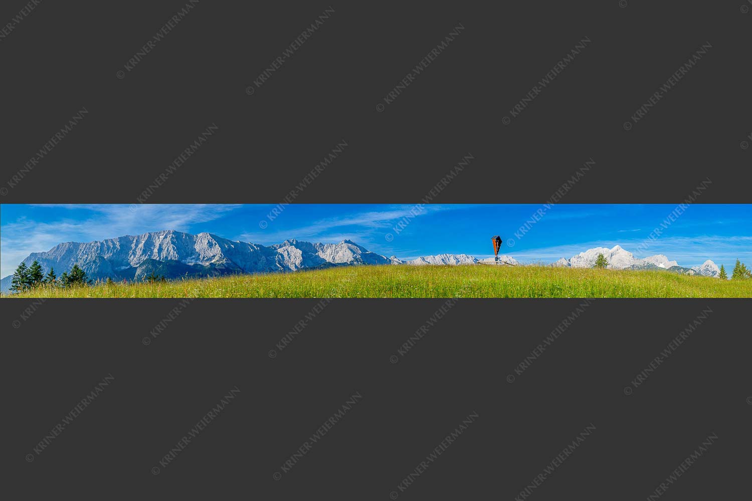 Blick über Blumenwiese am Eckbauer zum Wettersteingebirge - Traumhafte Wiesen 8:1  -- Feldkreuz Eckbauer - mehr Infos bei www.Kriner-Weiermann.de