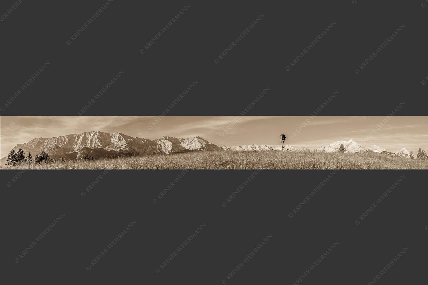 Blick über Blumenwiese am Eckbauer zum Wettersteingebirge - Traumhafte Wiesen 8:1 sepia -- Feldkreuz Eckbauer - mehr Infos bei www.Kriner-Weiermann.de