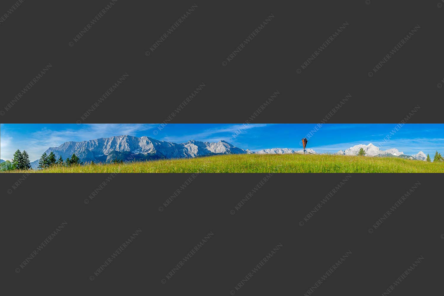 Blick über Blumenwiese am Eckbauer zum Wettersteingebirge - Traumhafte Wiesen 9:1  -- Feldkreuz Eckbauer - mehr Infos bei www.Kriner-Weiermann.de