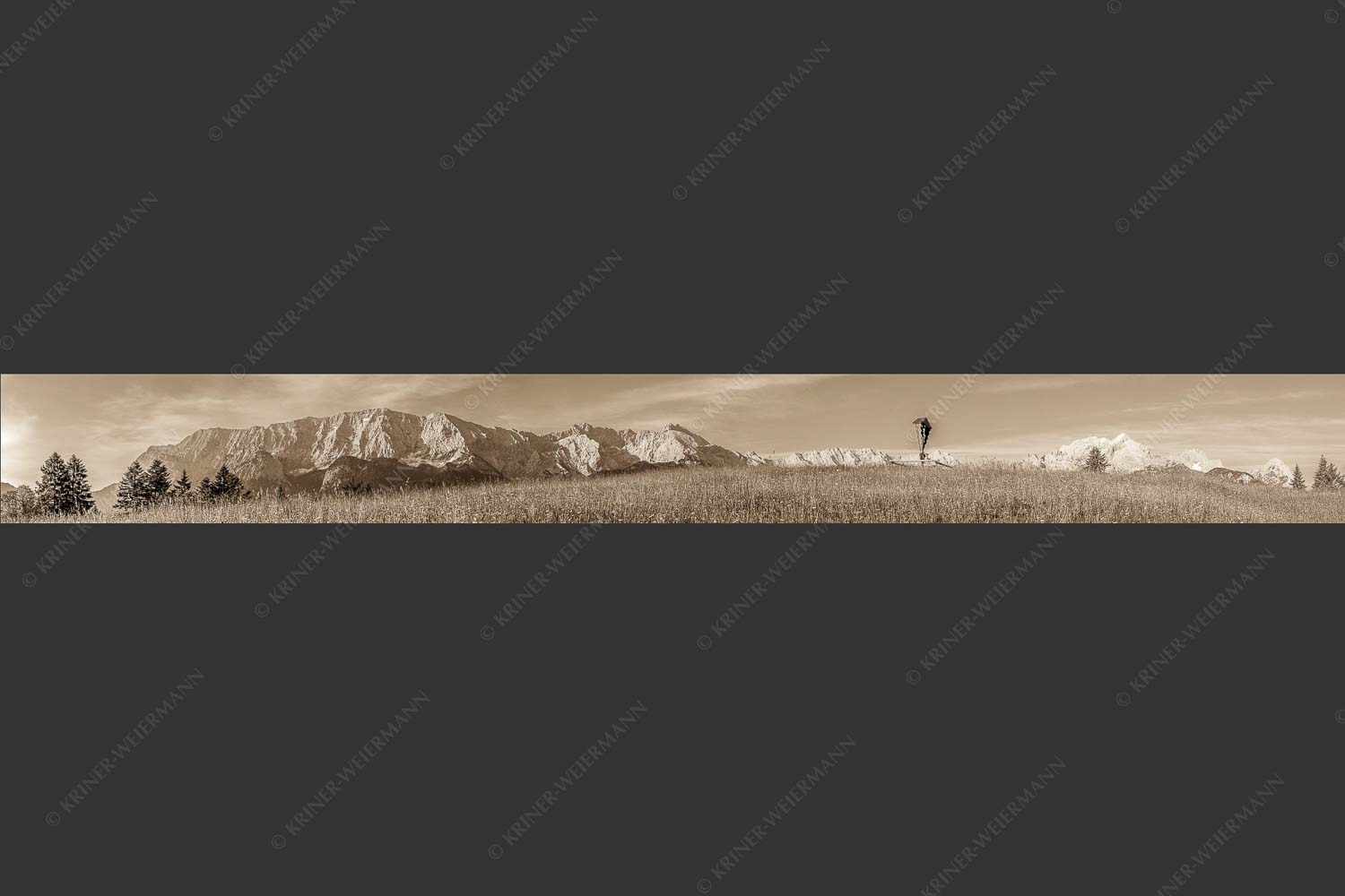 Blick über Blumenwiese am Eckbauer zum Wettersteingebirge - Traumhafte Wiesen 9:1 sepia -- Feldkreuz Eckbauer - mehr Infos bei www.Kriner-Weiermann.de