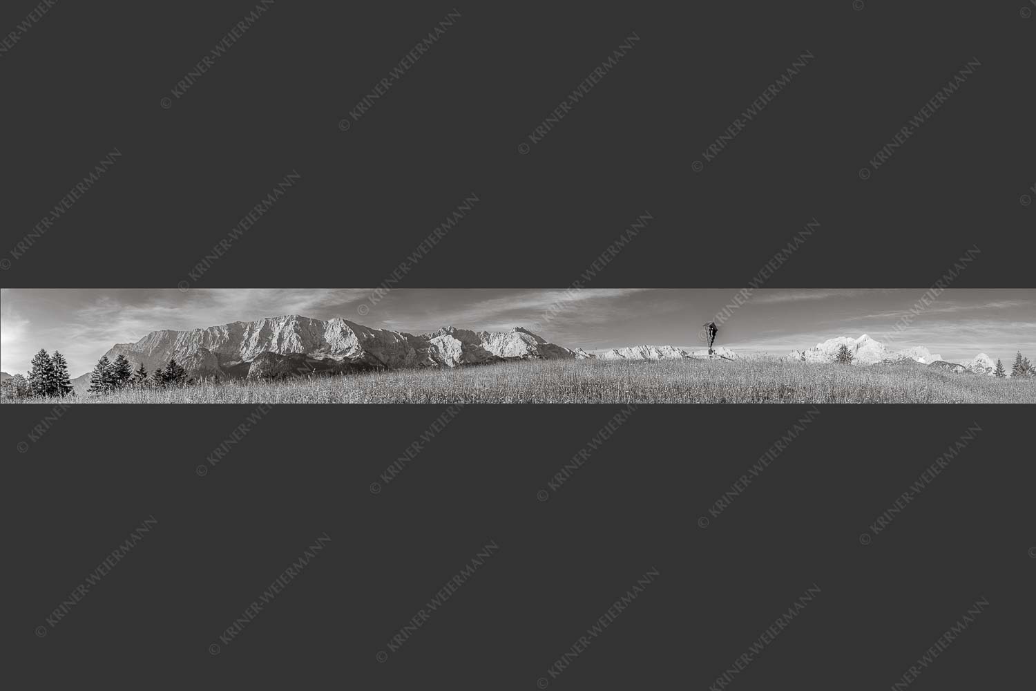 Blick über Blumenwiese am Eckbauer zum Wettersteingebirge - Traumhafte Wiesen 9:1 sw -- Feldkreuz Eckbauer - mehr Infos bei www.Kriner-Weiermann.de