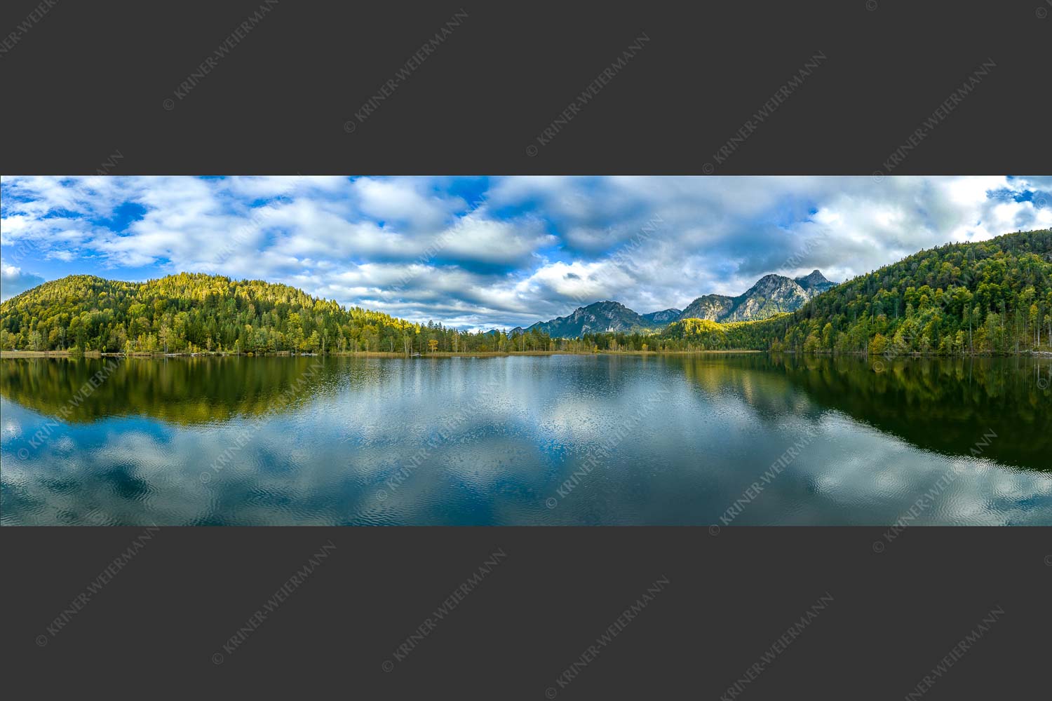 Blick über den Schwansee zum Schloss Neuschwanstein und Tegelberg - Übern Schwansee III 3:1  -- Füssen - mehr Infos bei www.Kriner-Weiermann.de