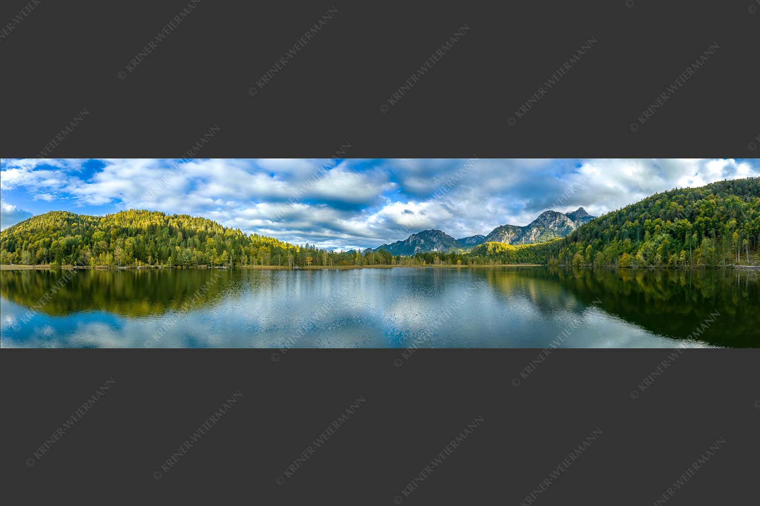 Blick über den Schwansee zum Schloss Neuschwanstein und Tegelberg - Übern Schwansee III 4:1  -- Füssen - mehr Infos bei www.Kriner-Weiermann.de
