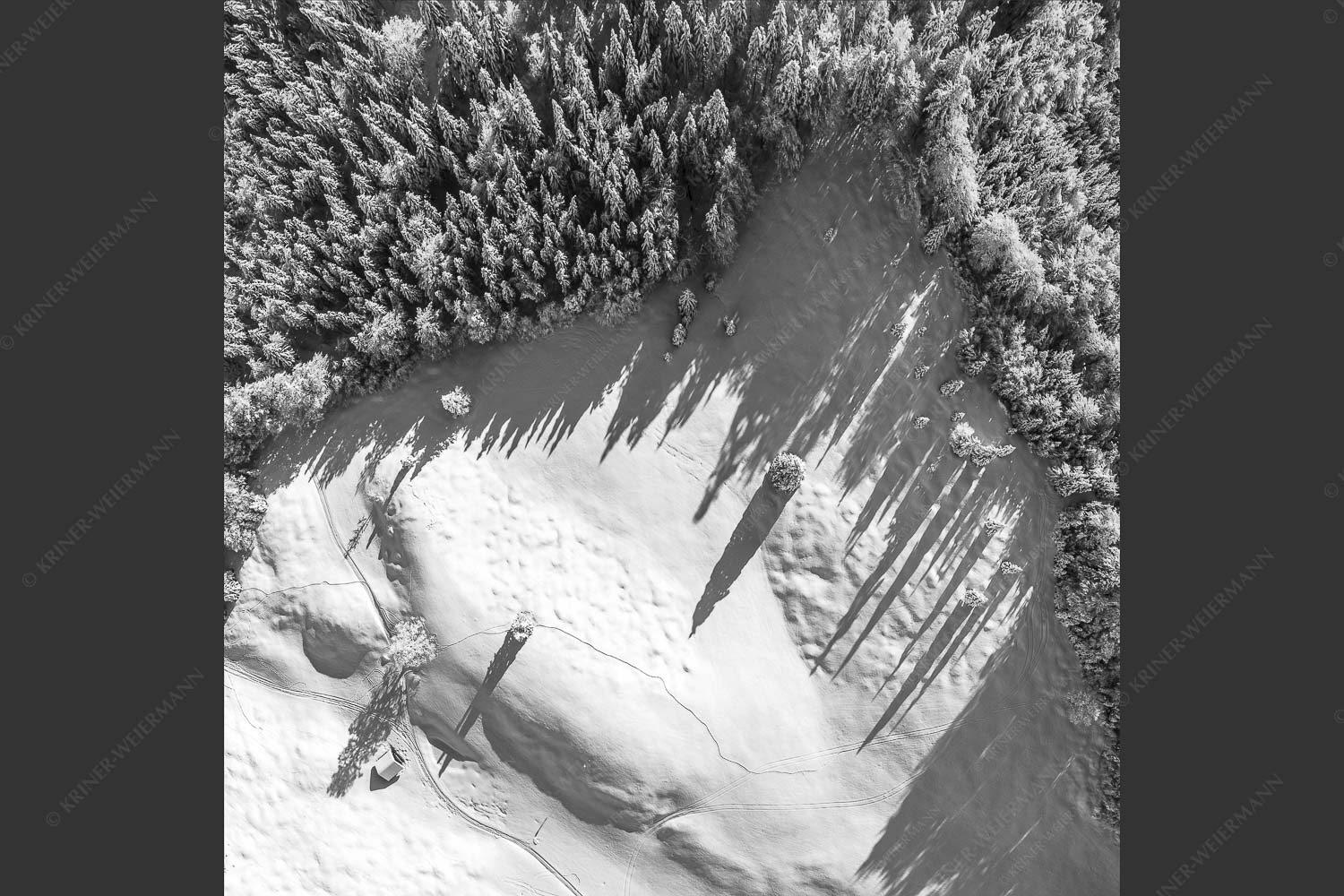 Stark verschneite Winterlandschaft im Estergebirge - Waldschatten 1:1 sw -- Wald Winter Schnee - mehr Infos bei www.Kriner-Weiermann.de