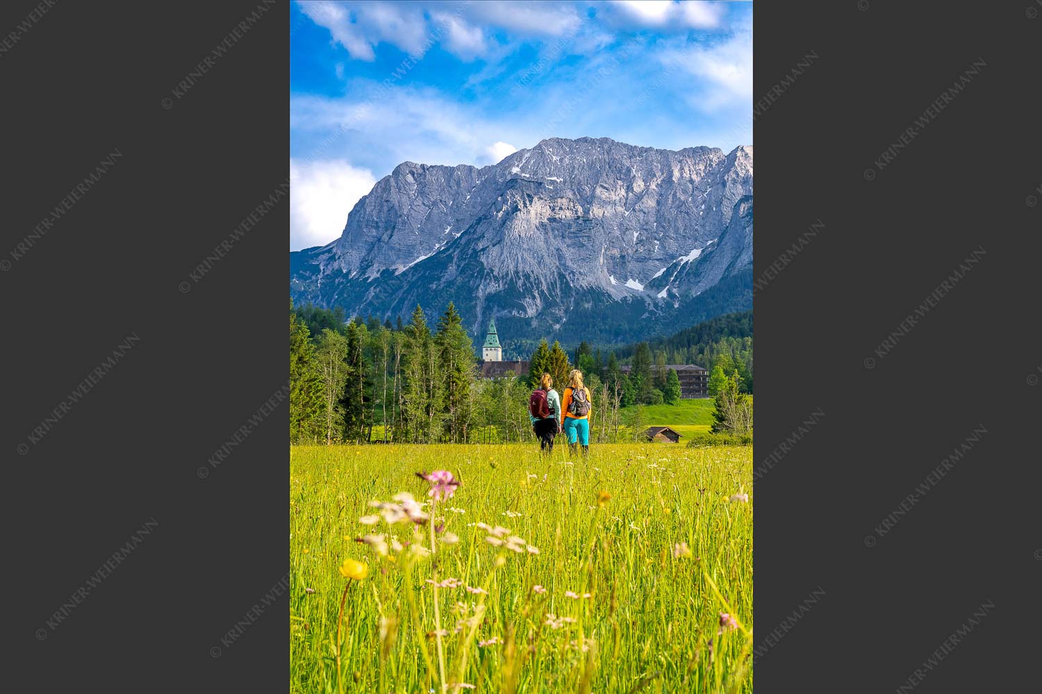 Blick zum Schloss Elmau und Wetterstein im Hintergrund - Wanderung ums Schloss II 2:3  -- Elmau Wiesen Wetterstein - mehr Infos bei www.Kriner-Weiermann.de
