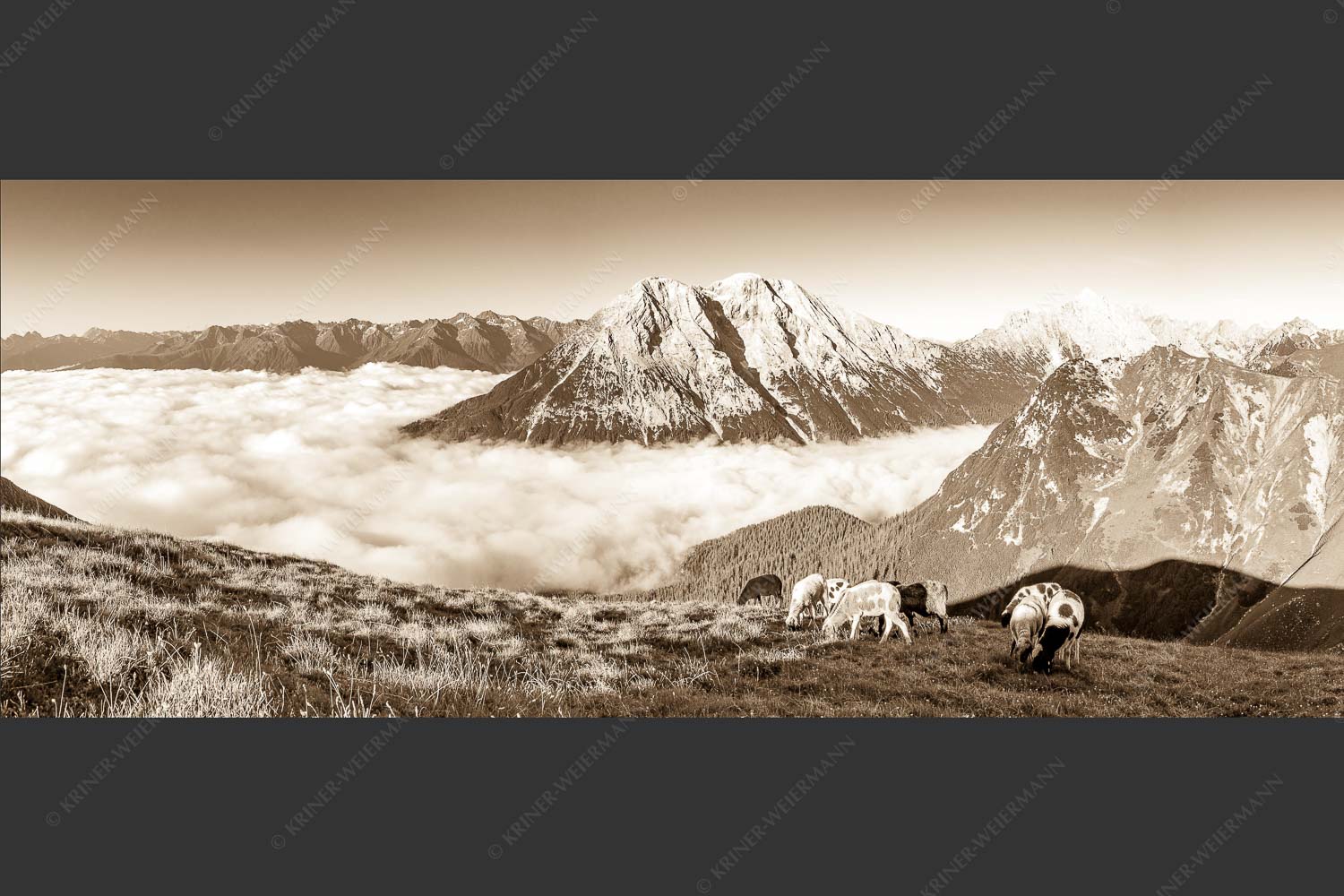 Bergschafe über dem Gaistal mit Hoher Munde im Hintergrund - Weide mit Aussicht 2,5:1 sepia -- Schafe im Wetterstein - mehr Infos bei www.Kriner-Weiermann.de