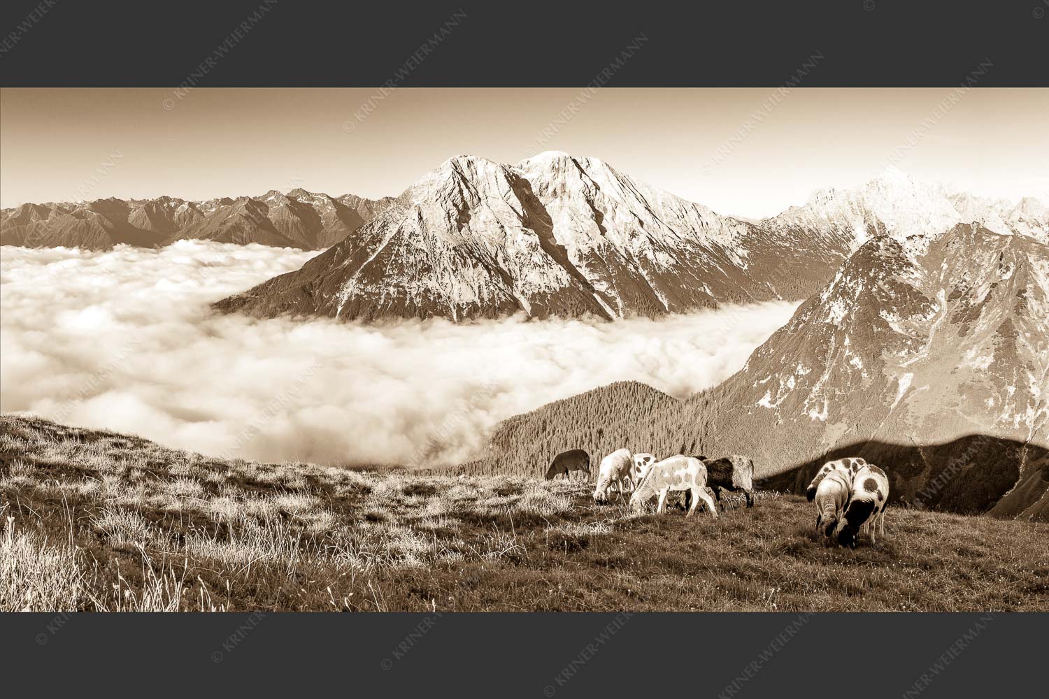 Bergschafe über dem Gaistal mit Hoher Munde im Hintergrund - Weide mit Aussicht 2:1 sepia -- Schafe im Wetterstein - mehr Infos bei www.Kriner-Weiermann.de