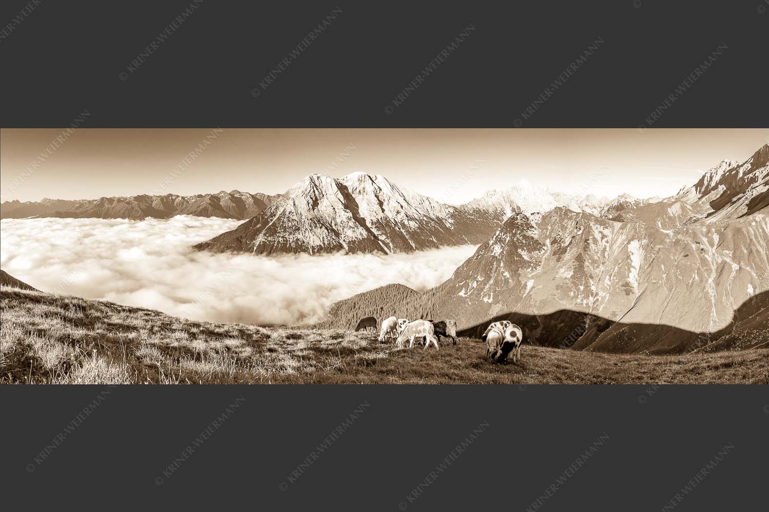 Bergschafe über dem Gaistal mit Hoher Munde im Hintergrund - Weide mit Aussicht 3:1 sepia -- Schafe im Wetterstein - mehr Infos bei www.Kriner-Weiermann.de
