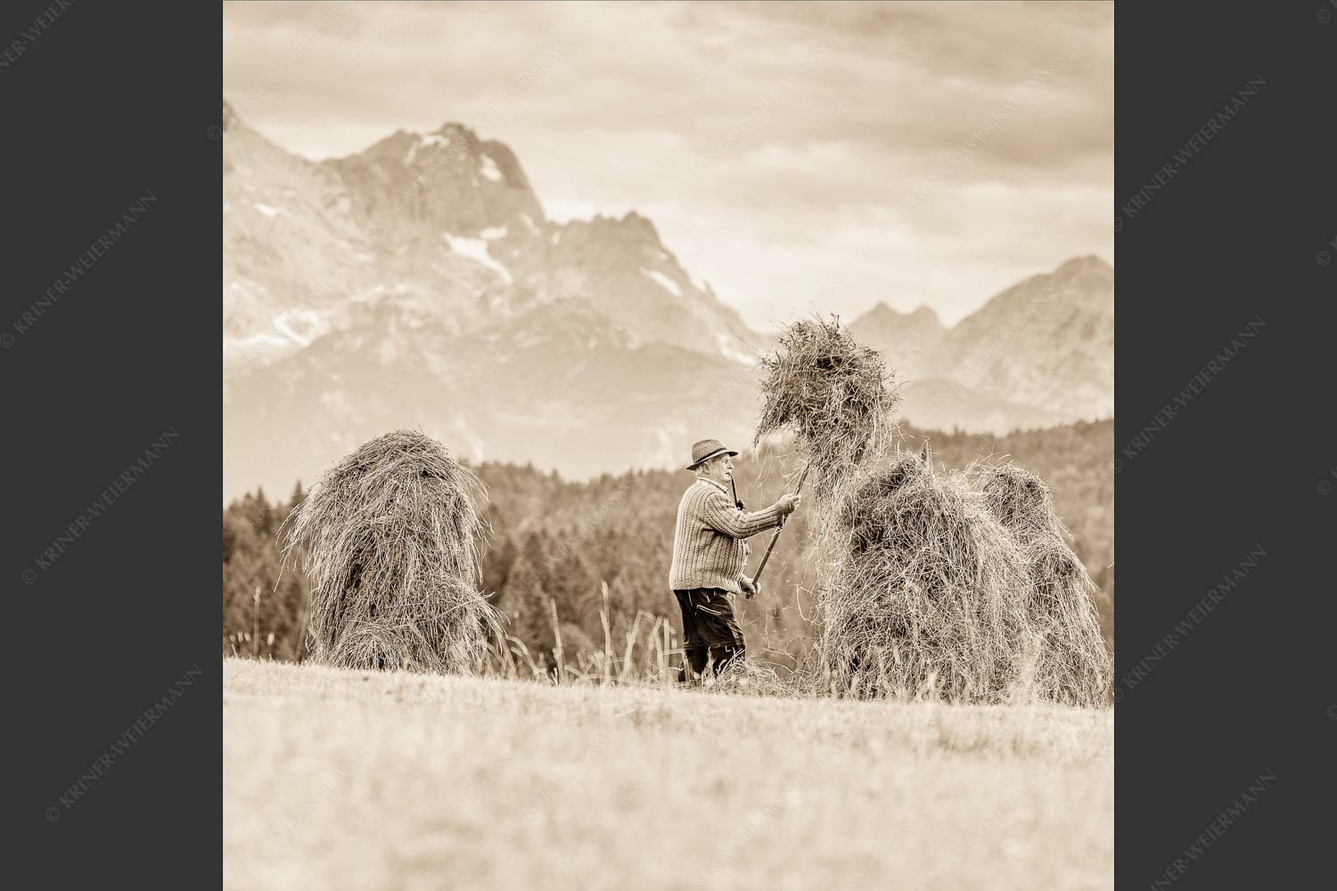 Stanker vor Zugspitzmassiv mit Hochblassen, Alpspitze, Zugspitze und Waxenstein - Wia friahra 1:1 sepia -- Heuarbeit Heustankern - mehr Infos bei www.Kriner-Weiermann.de