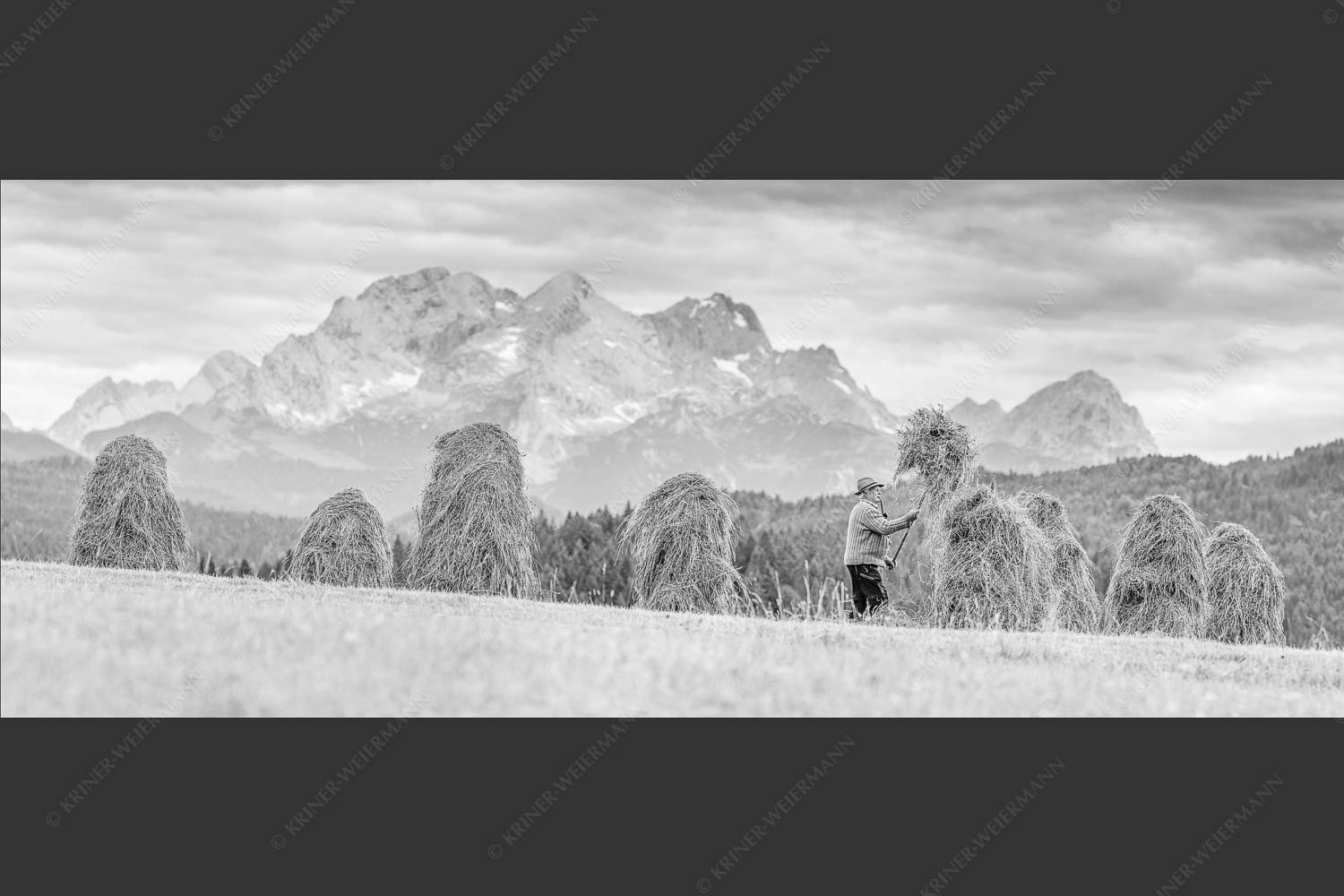 Stanker vor Zugspitzmassiv mit Hochblassen, Alpspitze, Zugspitze und Waxenstein - Wia friahra 2,5:1 sw -- Heuarbeit Heustankern - mehr Infos bei www.Kriner-Weiermann.de