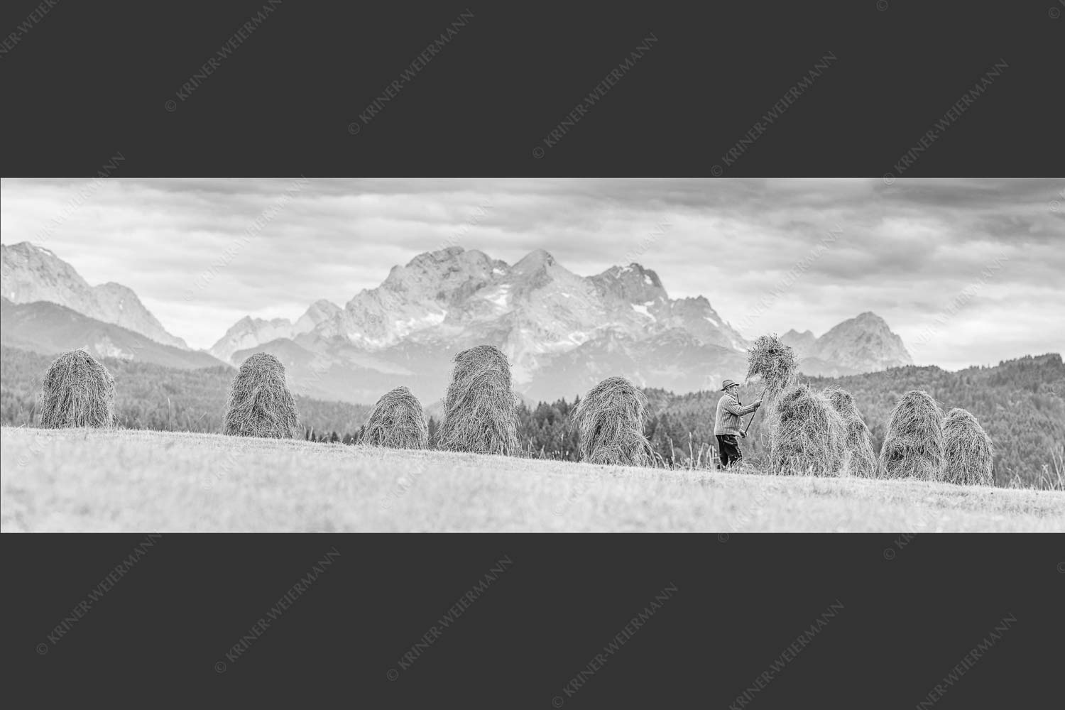 Stanker vor Zugspitzmassiv mit Hochblassen, Alpspitze, Zugspitze und Waxenstein - Wia friahra 3:1 sw -- Heuarbeit Heustankern - mehr Infos bei www.Kriner-Weiermann.de