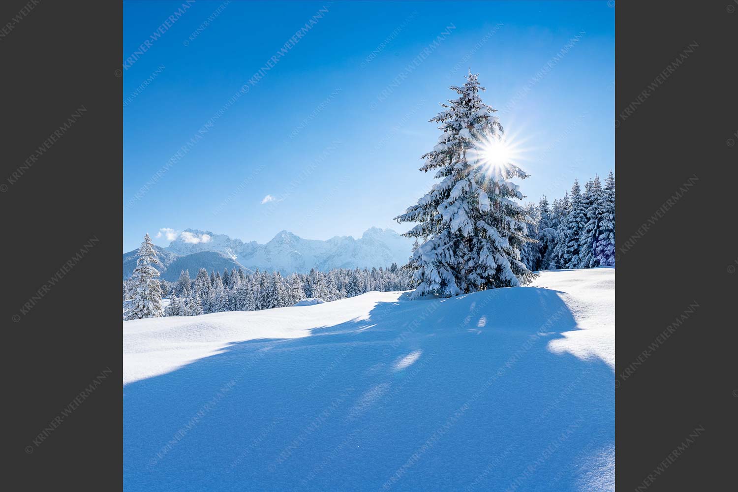 Verschneite Winterlandschaft mit Karwendel im Hintergrund - Winterliche Buckelwiesen 1:1  -- Schnee Karwendel - mehr Infos bei www.Kriner-Weiermann.de