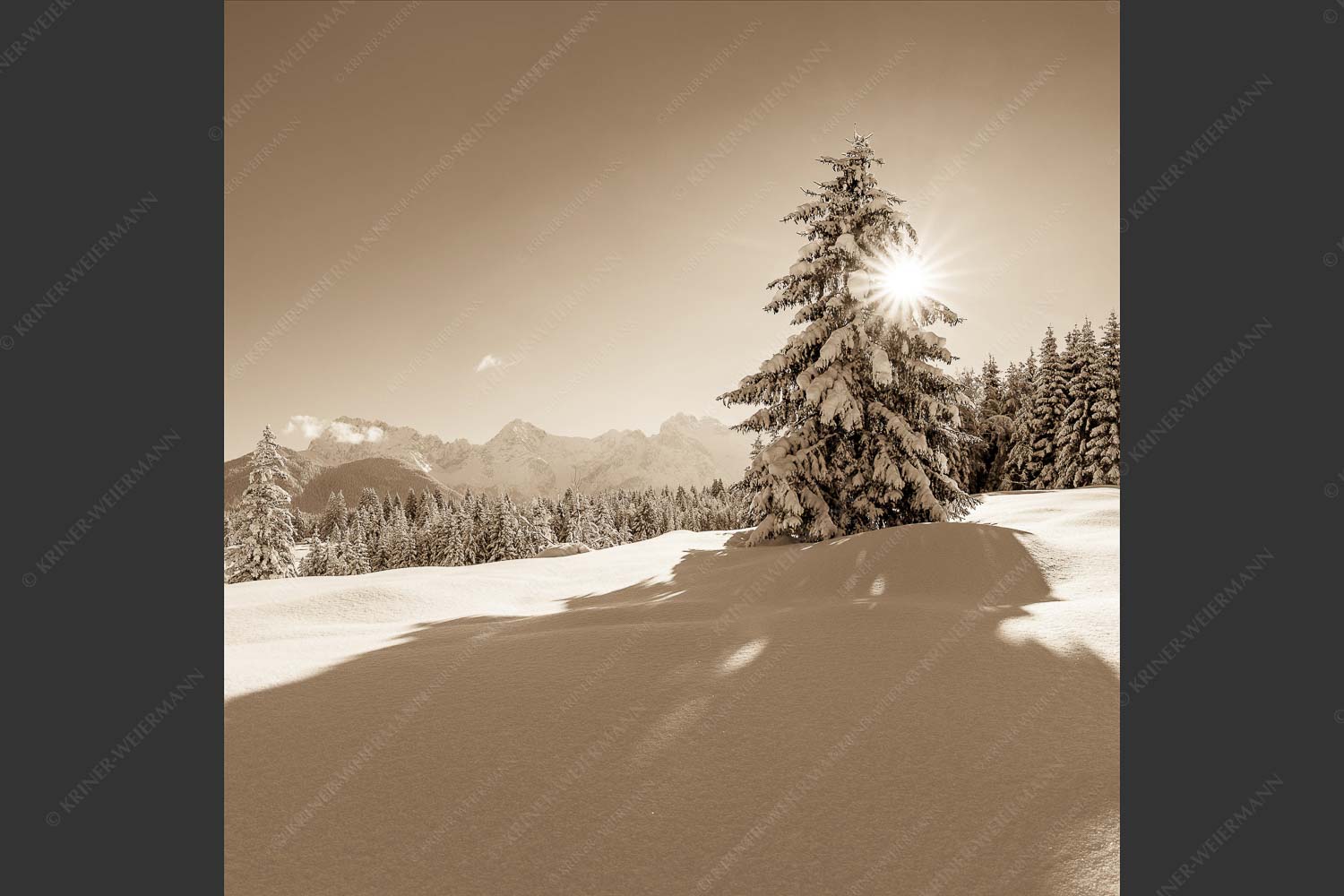 Verschneite Winterlandschaft mit Karwendel im Hintergrund - Winterliche Buckelwiesen 1:1 sepia -- Schnee Karwendel - mehr Infos bei www.Kriner-Weiermann.de