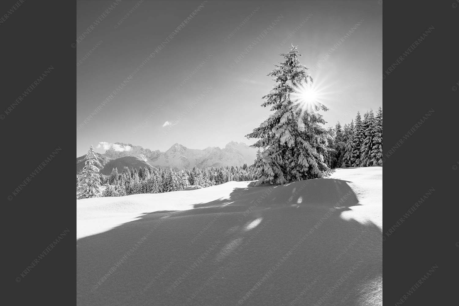 Verschneite Winterlandschaft mit Karwendel im Hintergrund - Winterliche Buckelwiesen 1:1 sw -- Schnee Karwendel - mehr Infos bei www.Kriner-Weiermann.de