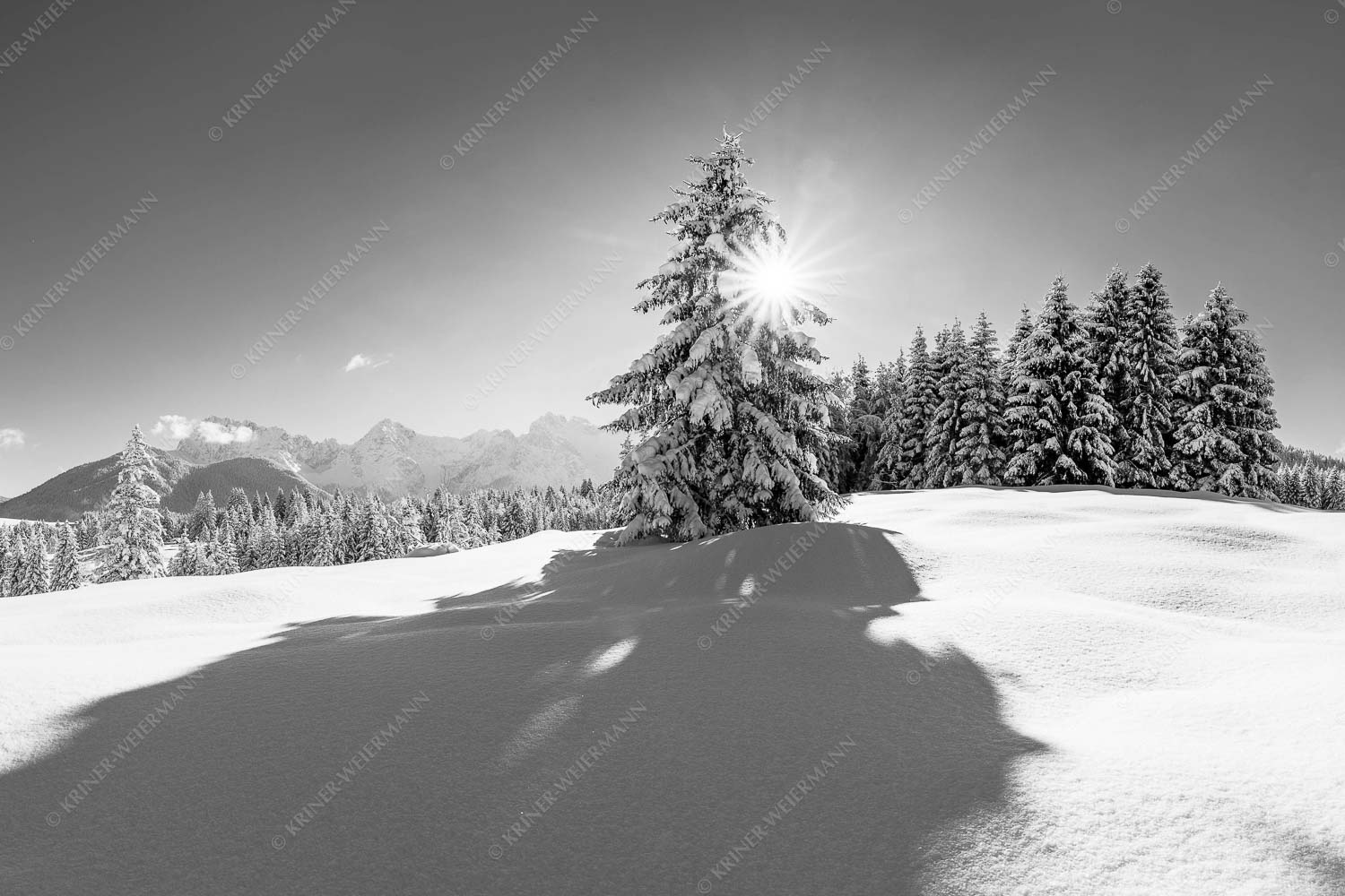 Verschneite Winterlandschaft mit Karwendel im Hintergrund - Winterliche Buckelwiesen 3:2 sw -- Schnee Karwendel - mehr Infos bei www.Kriner-Weiermann.de