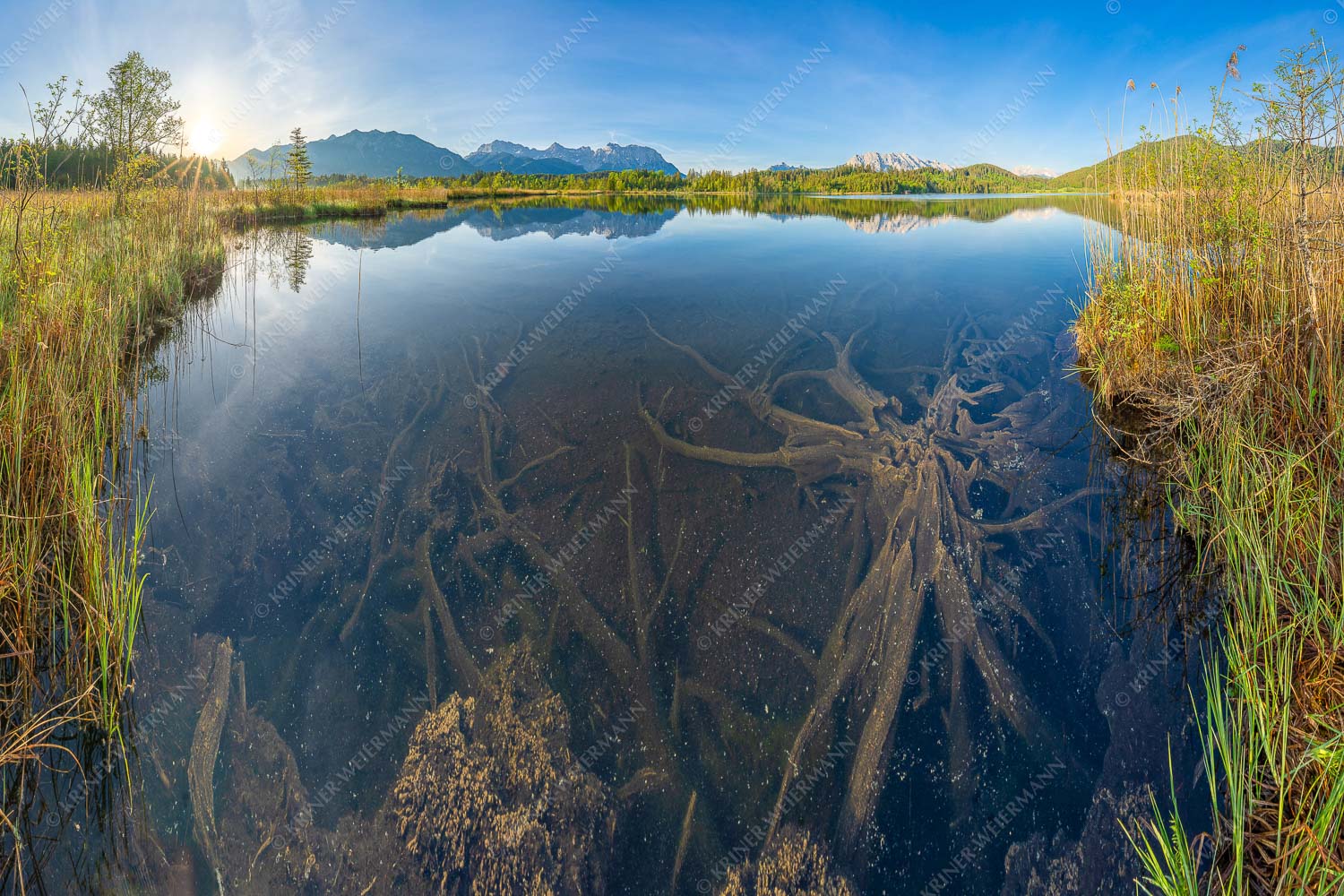 Blick über Barmsee zum Karwendel- und Wettersteingebirge - Wurzelwerk 3:2  -- Barmsee Wurzel im Wasser - mehr Infos bei www.Kriner-Weiermann.de