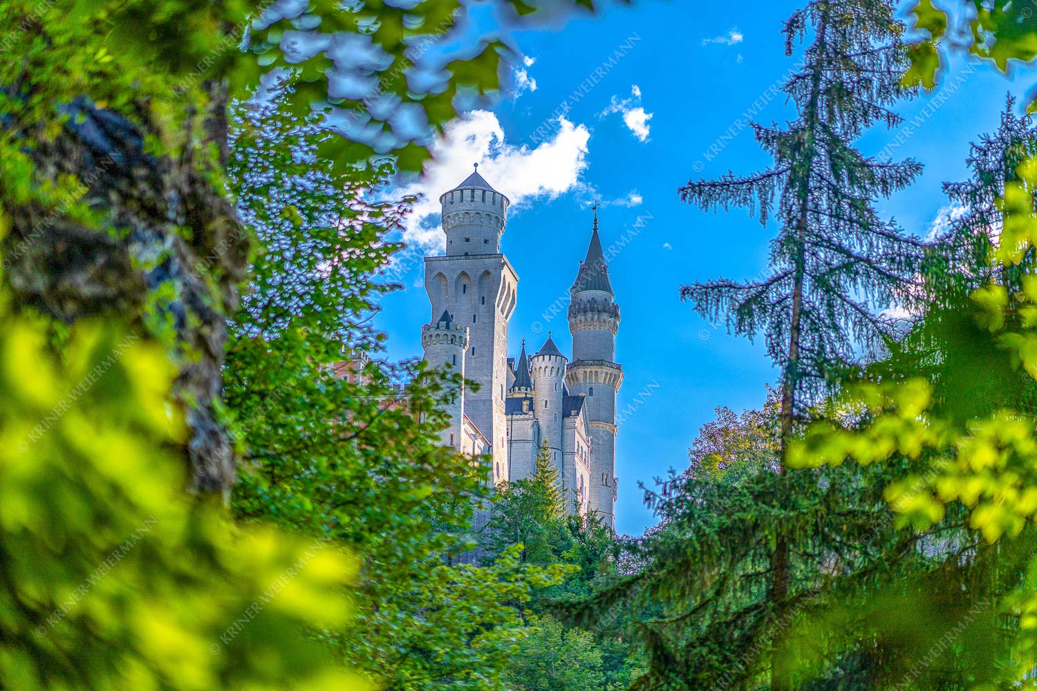 Blick auf Schloss Neuschwanstein - Ziemlich versteckt II 3:2  -- Schloss Neuschwanstein - mehr Infos bei www.Kriner-Weiermann.de