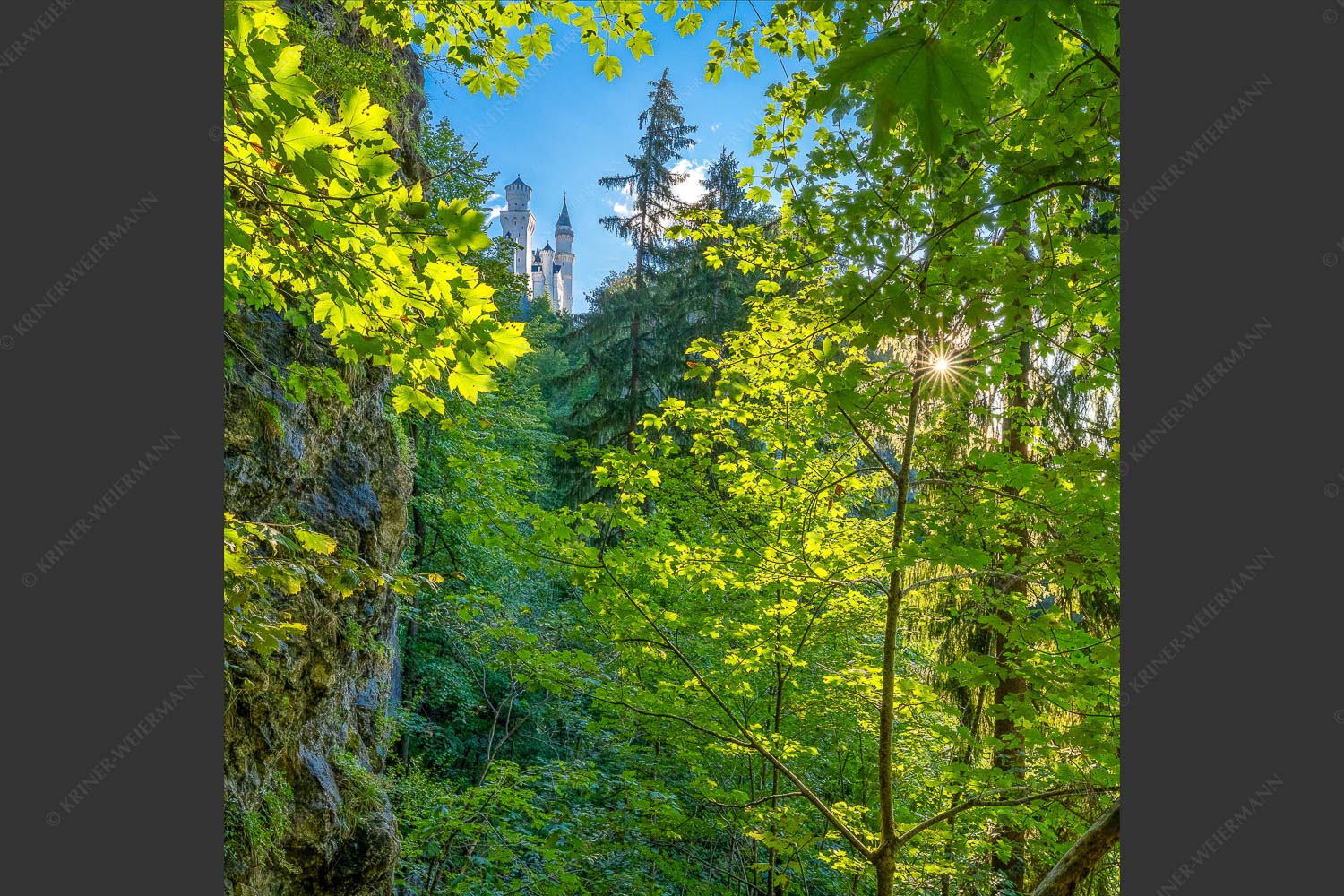 Blick auf Schloss Neuschwanstein - Ziemlich versteckt 1:1  -- Schloss Neuschwanstein - mehr Infos bei www.Kriner-Weiermann.de