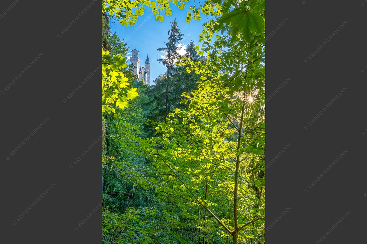 Blick auf Schloss Neuschwanstein - Ziemlich versteckt 2:3  -- Schloss Neuschwanstein - mehr Infos bei www.Kriner-Weiermann.de