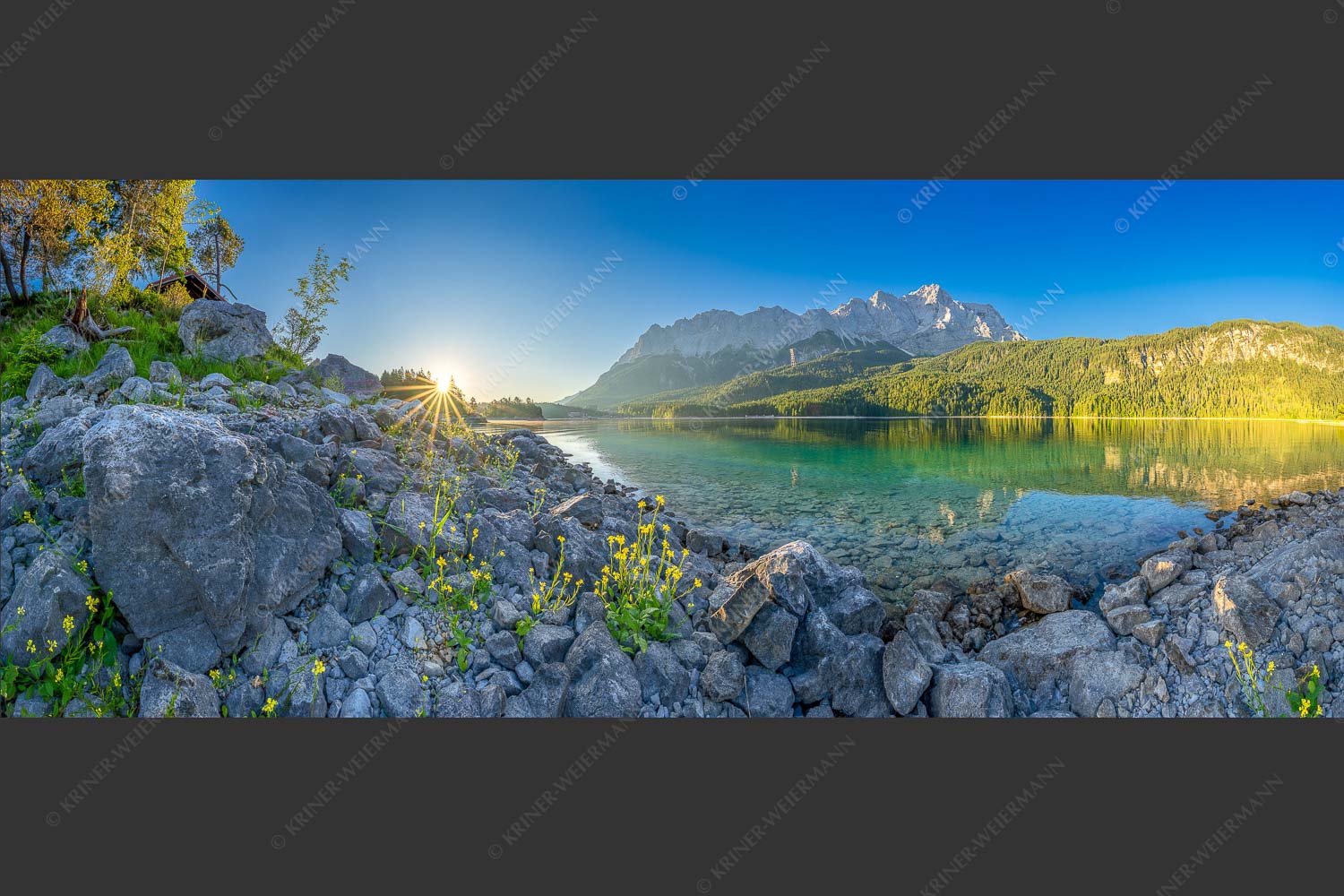 Sonnenaufgang am Eibsee mit Zugspitze und blühenden Wildblumen - Idylle am Eibsee 2,5:1  -- Eibsee Sonnenaufgang Zugspitze - mehr Infos bei www.Kriner-Weiermann.de