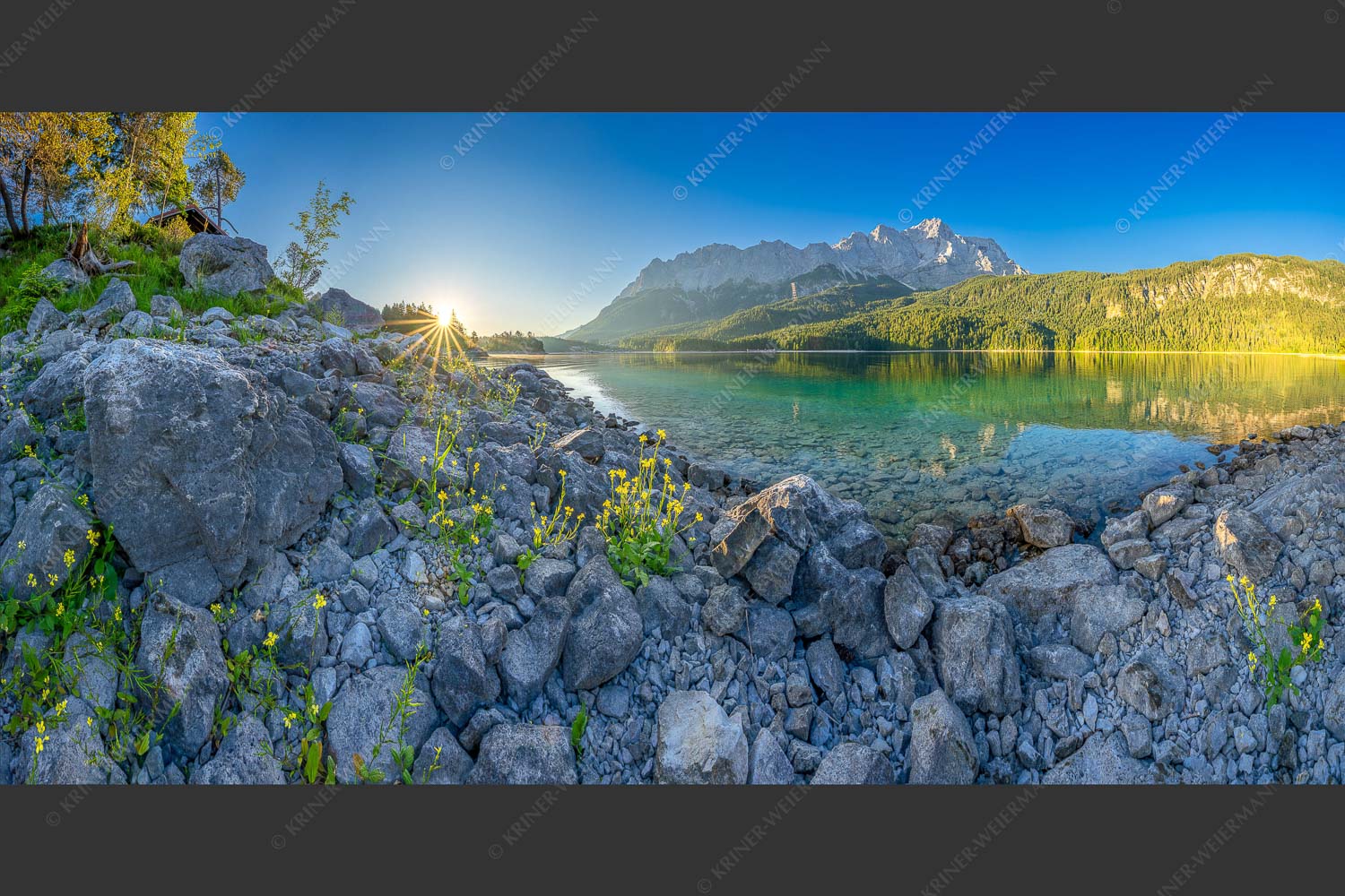 Sonnenaufgang am Eibsee mit Zugspitze und blühenden Wildblumen - Idylle am Eibsee 2:1  -- Eibsee Sonnenaufgang Zugspitze - mehr Infos bei www.Kriner-Weiermann.de
