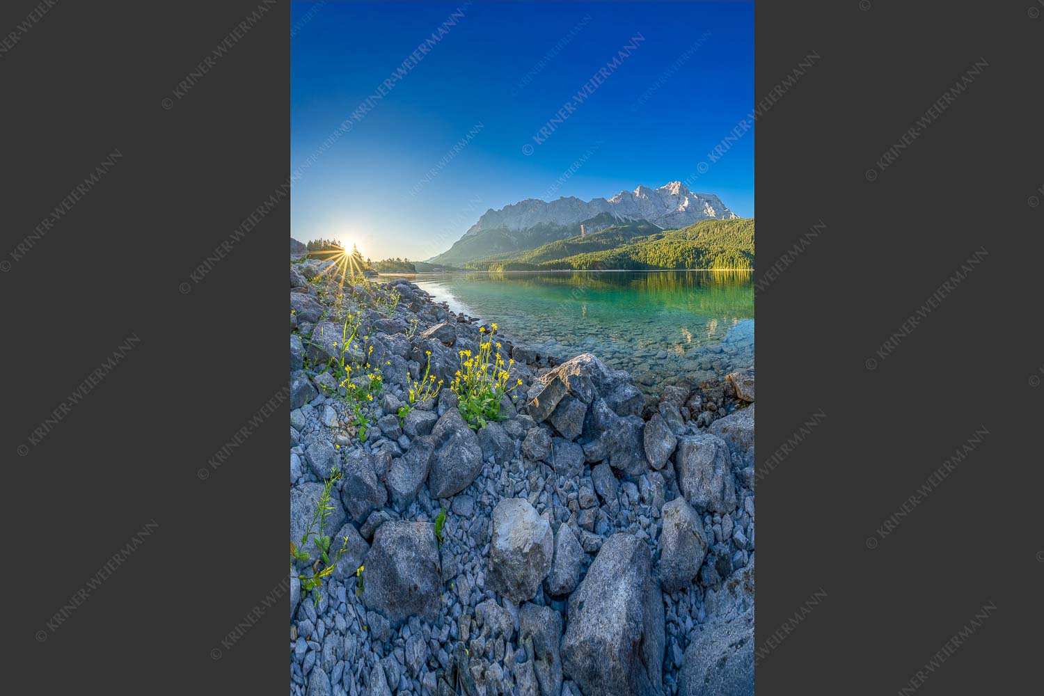 Sonnenaufgang am Eibsee mit Zugspitze und blühenden Wildblumen - Idylle am Eibsee 2:3  -- Eibsee Sonnenaufgang Zugspitze - mehr Infos bei www.Kriner-Weiermann.de