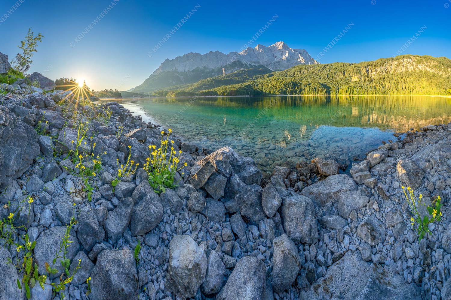 Sonnenaufgang am Eibsee mit Zugspitze und blühenden Wildblumen - Idylle am Eibsee 3:2  -- Eibsee Sonnenaufgang Zugspitze - mehr Infos bei www.Kriner-Weiermann.de