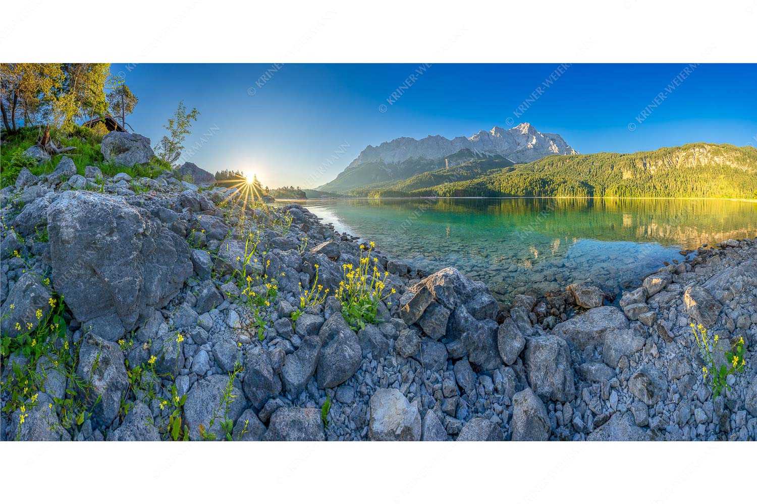 Sonnenaufgang am Eibsee mit Zugspitze und blühenden Wildblumen - Idylle am Eibsee_2zu1 - mehr Infos bei www.Kriner-Weiermann.de
