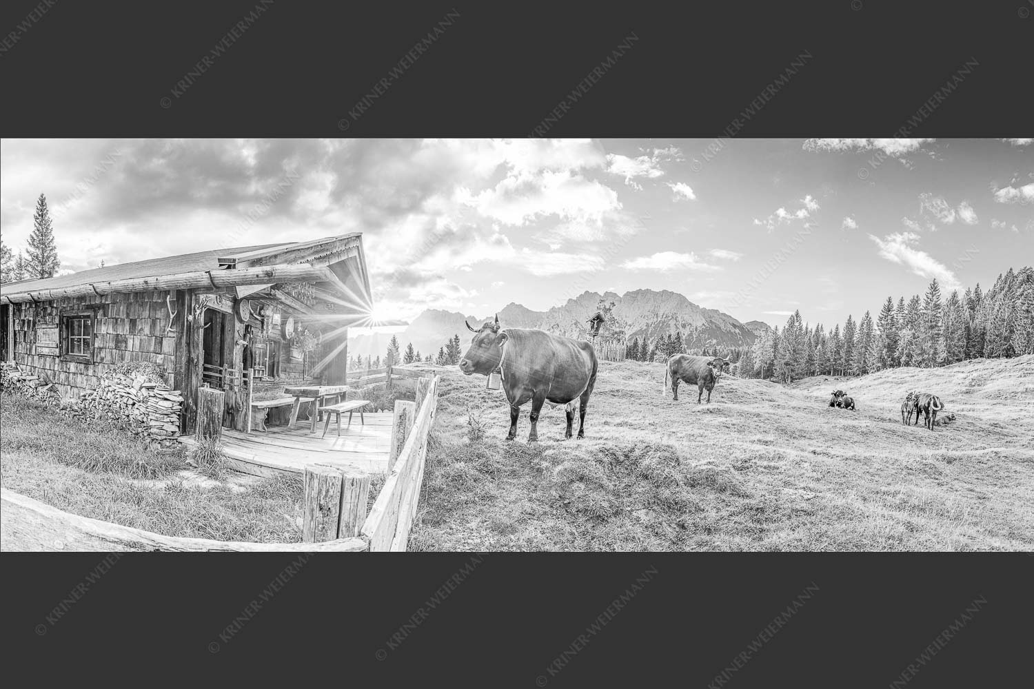 Malerische Almhütte bei Mittenwald mit Karwendel - Almbiente III 2,5:1 sw -- Mittenwald Alm Buckelwiesen Karwendel - mehr Infos bei www.Kriner-Weiermann.de