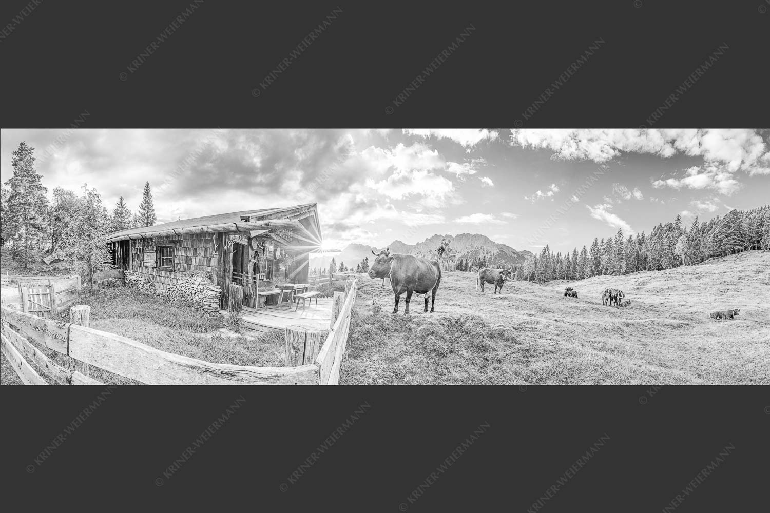 Malerische Almhütte bei Mittenwald mit Karwendel - Almbiente III 3:1 sw -- Mittenwald Alm Buckelwiesen Karwendel - mehr Infos bei www.Kriner-Weiermann.de