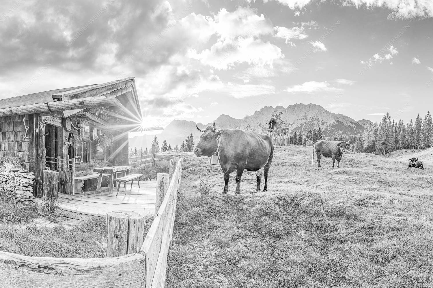 Malerische Almhütte bei Mittenwald mit Karwendel - Almbiente III 3:2 sw -- Mittenwald Alm Buckelwiesen Karwendel - mehr Infos bei www.Kriner-Weiermann.de