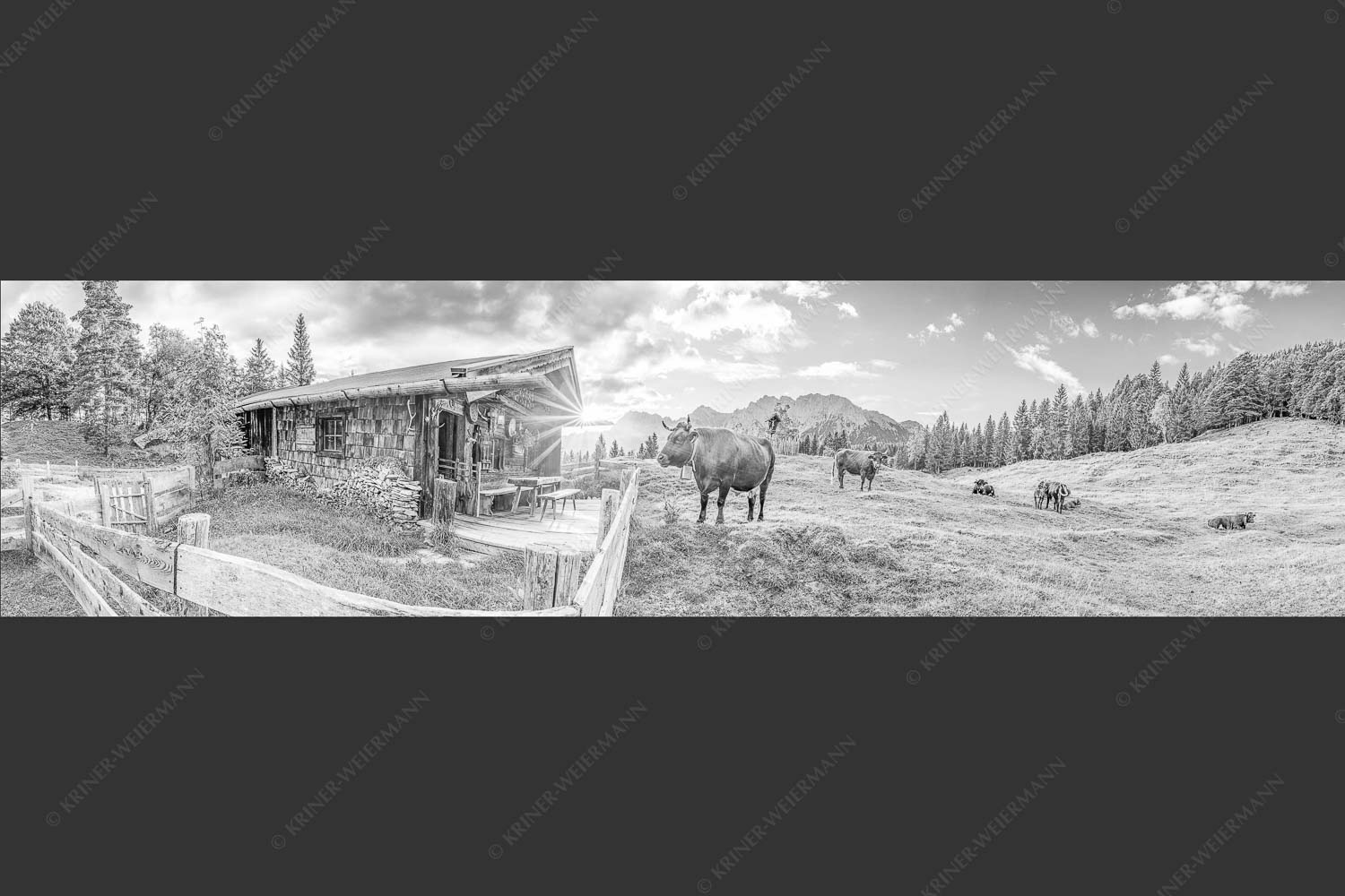Malerische Almhütte bei Mittenwald mit Karwendel - Almbiente III 4:1 sw -- Mittenwald Alm Buckelwiesen Karwendel - mehr Infos bei www.Kriner-Weiermann.de
