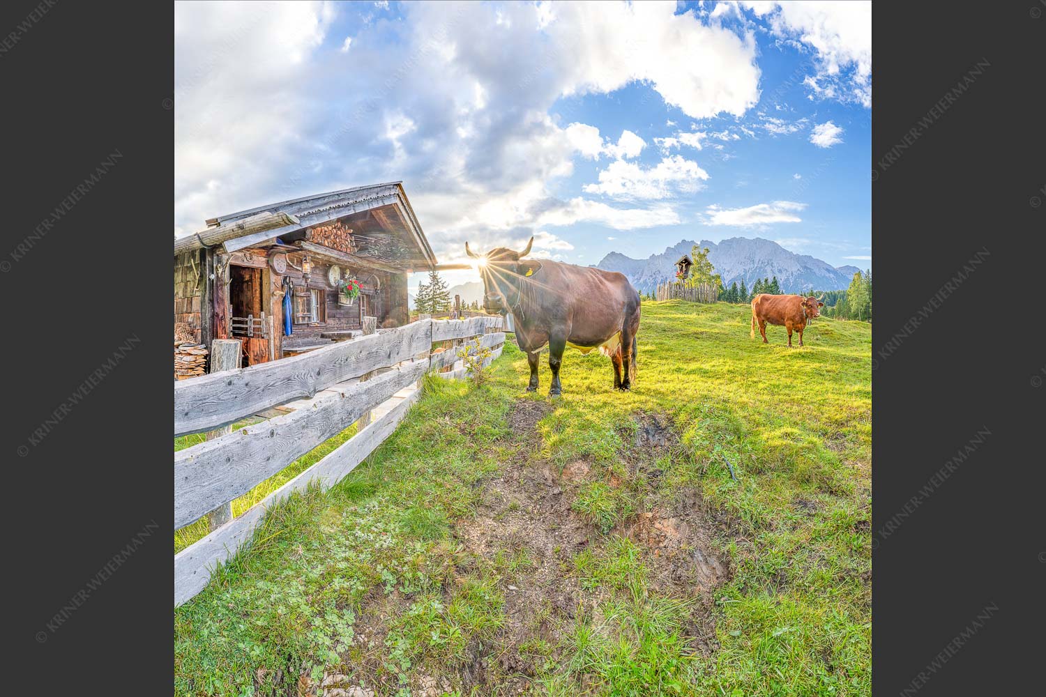 Malerische Almhütte bei Mittenwald mit Karwendel - Almbiente IV 1:1  -- Mittenwald Alm Buckelwiesen Karwendel - mehr Infos bei www.Kriner-Weiermann.de