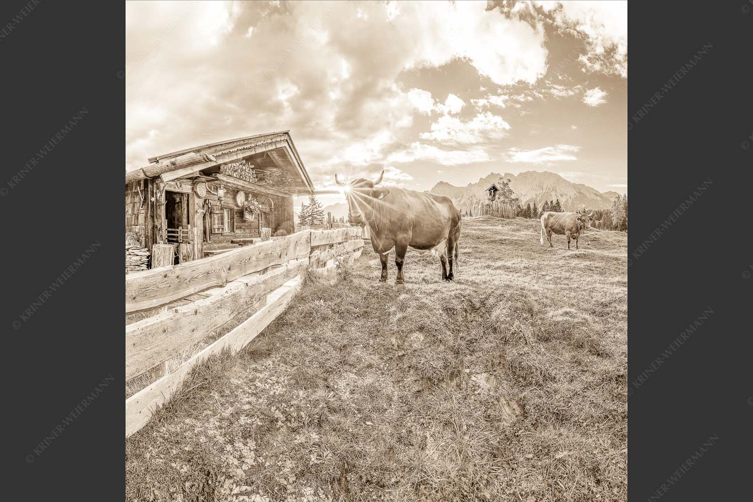 Malerische Almhütte bei Mittenwald mit Karwendel - Almbiente IV 1:1 sepia -- Mittenwald Alm Buckelwiesen Karwendel - mehr Infos bei www.Kriner-Weiermann.de