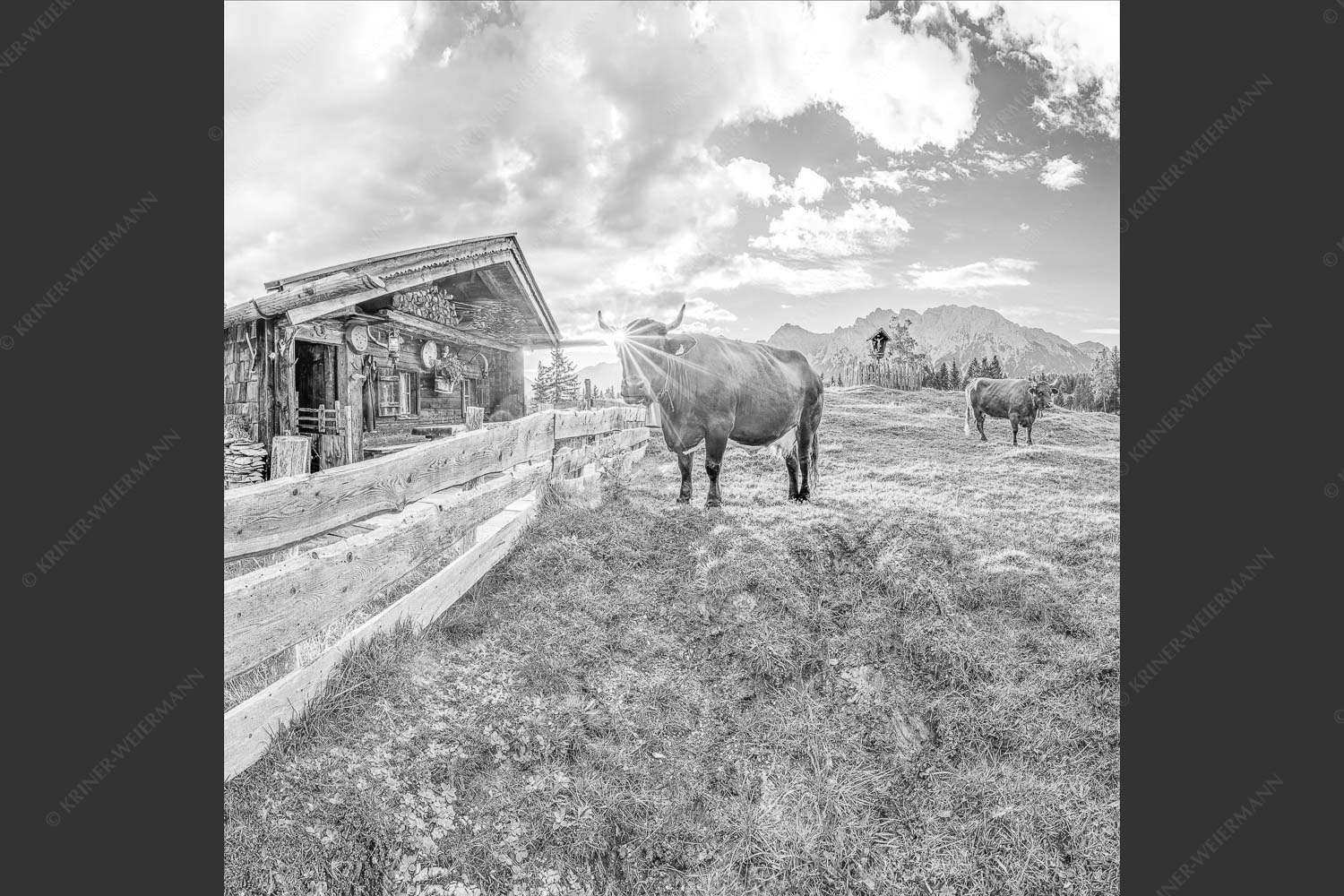 Malerische Almhütte bei Mittenwald mit Karwendel - Almbiente IV 1:1 sw -- Mittenwald Alm Buckelwiesen Karwendel - mehr Infos bei www.Kriner-Weiermann.de