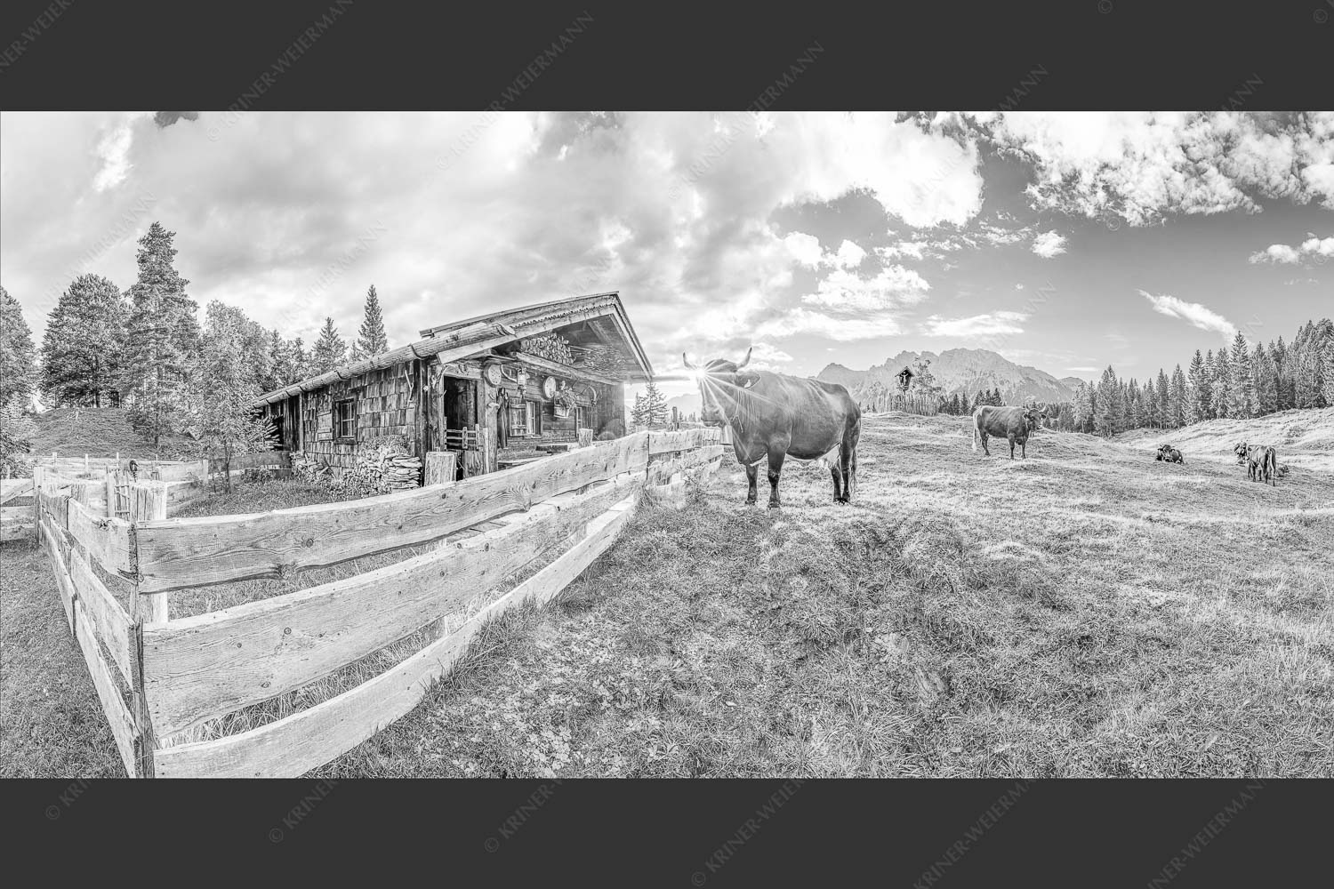 Malerische Almhütte bei Mittenwald mit Karwendel - Almbiente IV 2:1 sw -- Mittenwald Alm Buckelwiesen Karwendel - mehr Infos bei www.Kriner-Weiermann.de