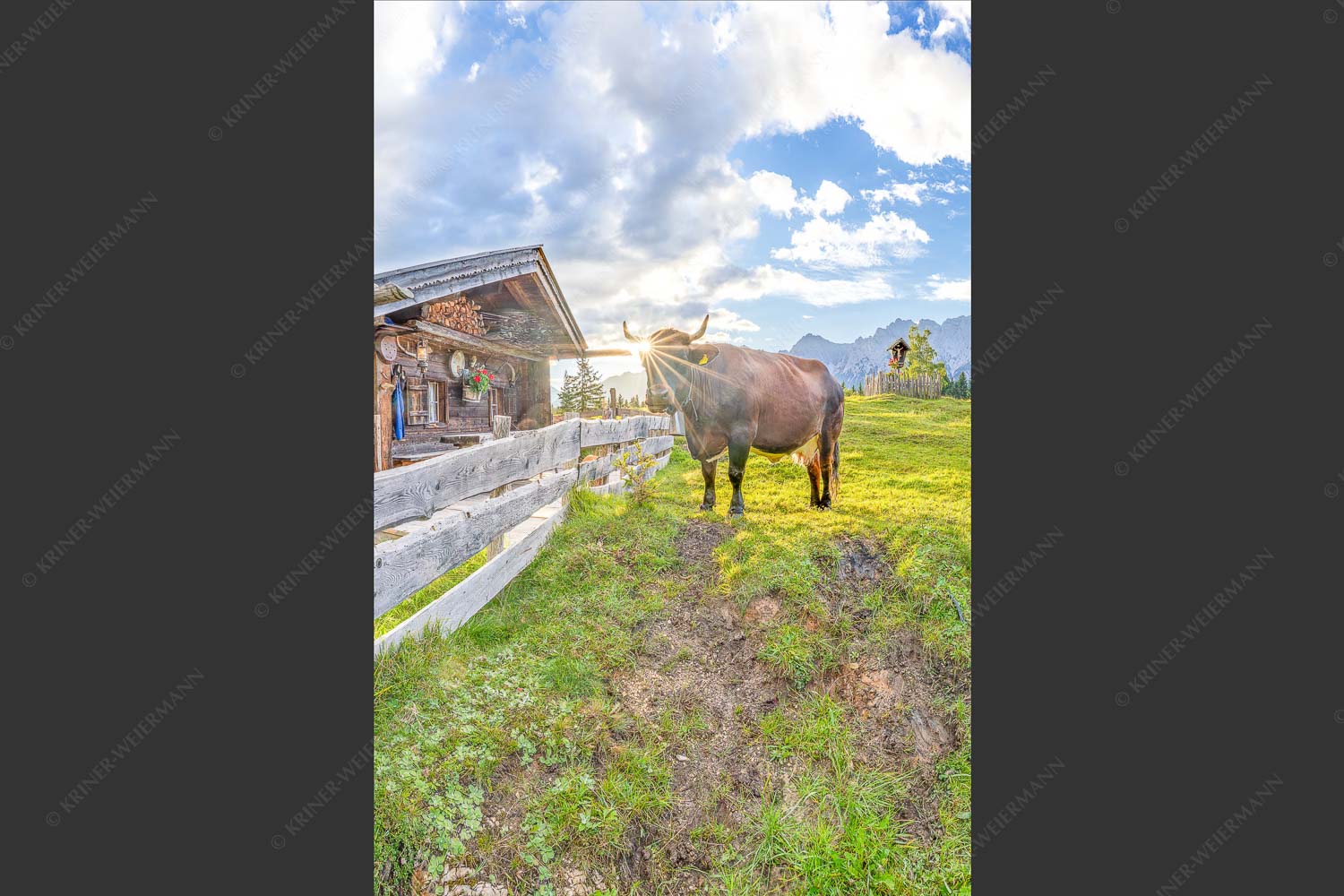 Malerische Almhütte bei Mittenwald mit Karwendel - Almbiente IV 2:3  -- Mittenwald Alm Buckelwiesen Karwendel - mehr Infos bei www.Kriner-Weiermann.de