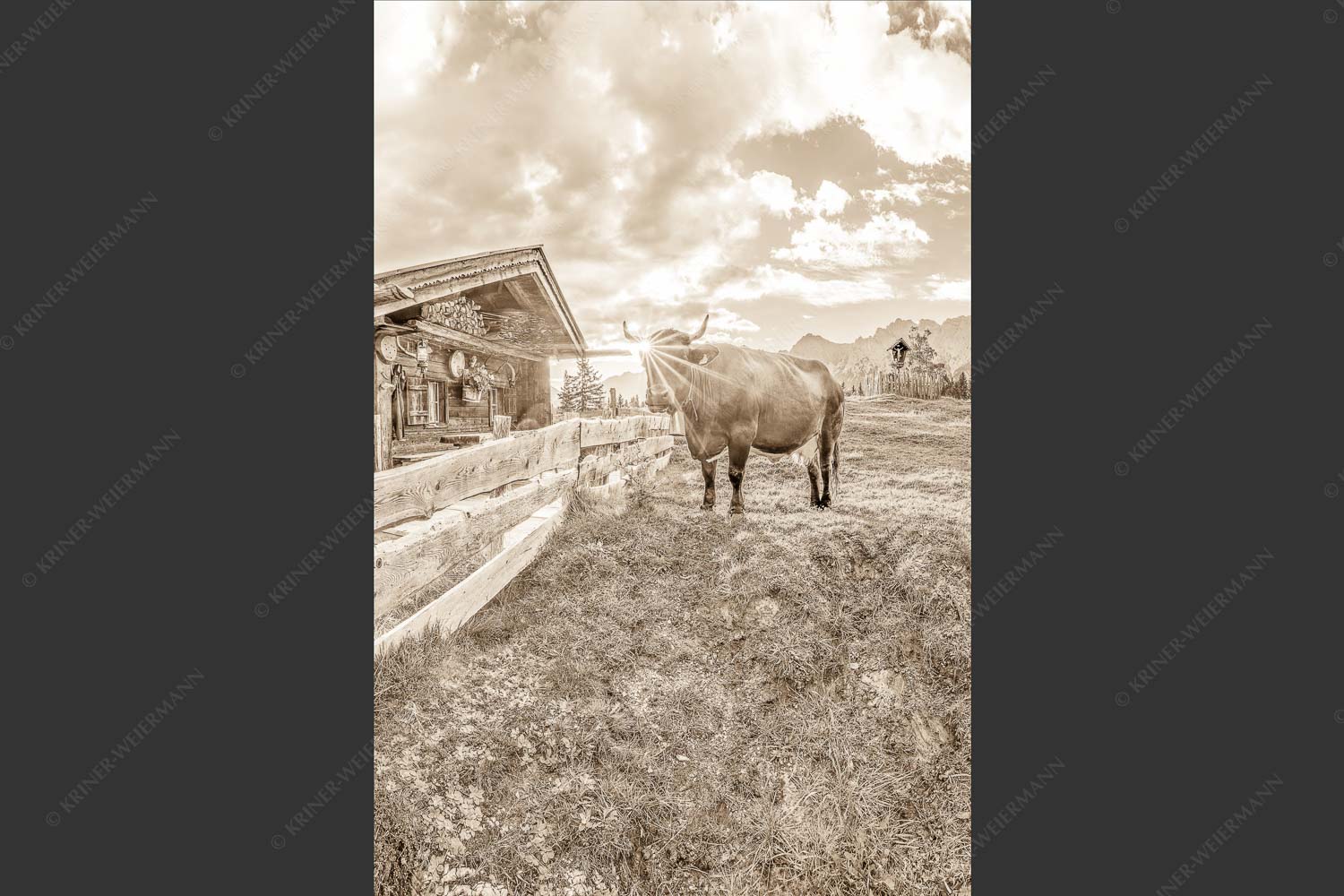 Malerische Almhütte bei Mittenwald mit Karwendel - Almbiente IV 2:3 sepia -- Mittenwald Alm Buckelwiesen Karwendel - mehr Infos bei www.Kriner-Weiermann.de