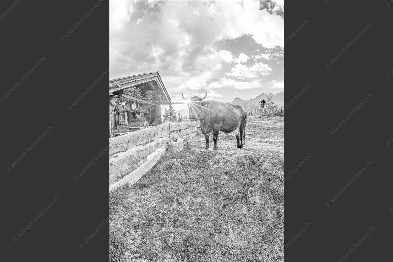 Malerische Almhütte bei Mittenwald mit Karwendel - Almbiente IV 2:3 sw -- Mittenwald Alm Buckelwiesen Karwendel - mehr Infos bei www.Kriner-Weiermann.de