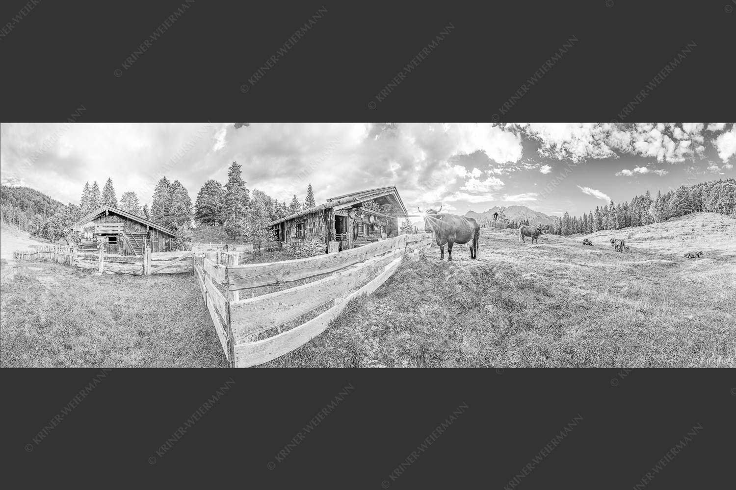 Malerische Almhütte bei Mittenwald mit Karwendel - Almbiente IV 3:1 sw -- Mittenwald Alm Buckelwiesen Karwendel - mehr Infos bei www.Kriner-Weiermann.de
