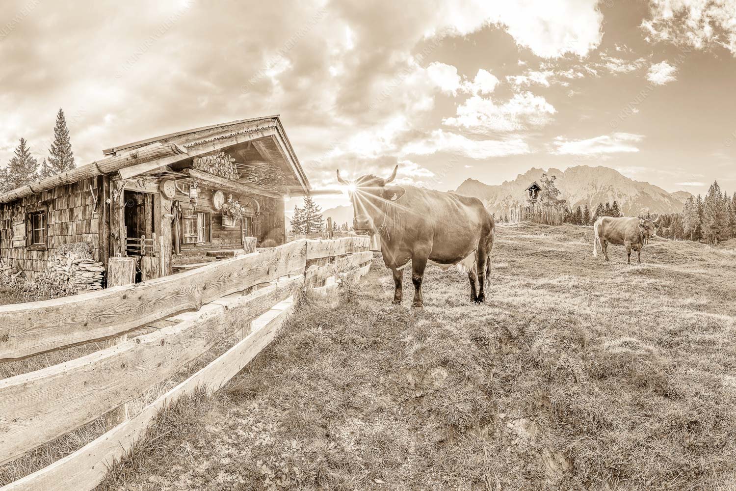 Malerische Almhütte bei Mittenwald mit Karwendel - Almbiente IV 3:2 sepia -- Mittenwald Alm Buckelwiesen Karwendel - mehr Infos bei www.Kriner-Weiermann.de