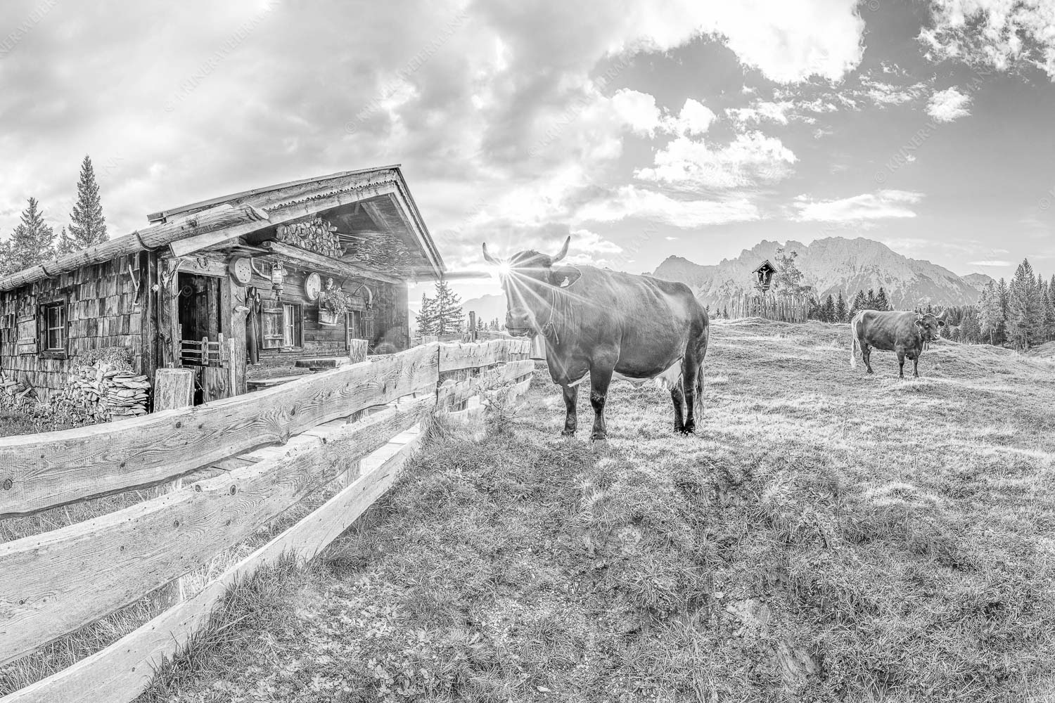 Malerische Almhütte bei Mittenwald mit Karwendel - Almbiente IV 3:2 sw -- Mittenwald Alm Buckelwiesen Karwendel - mehr Infos bei www.Kriner-Weiermann.de
