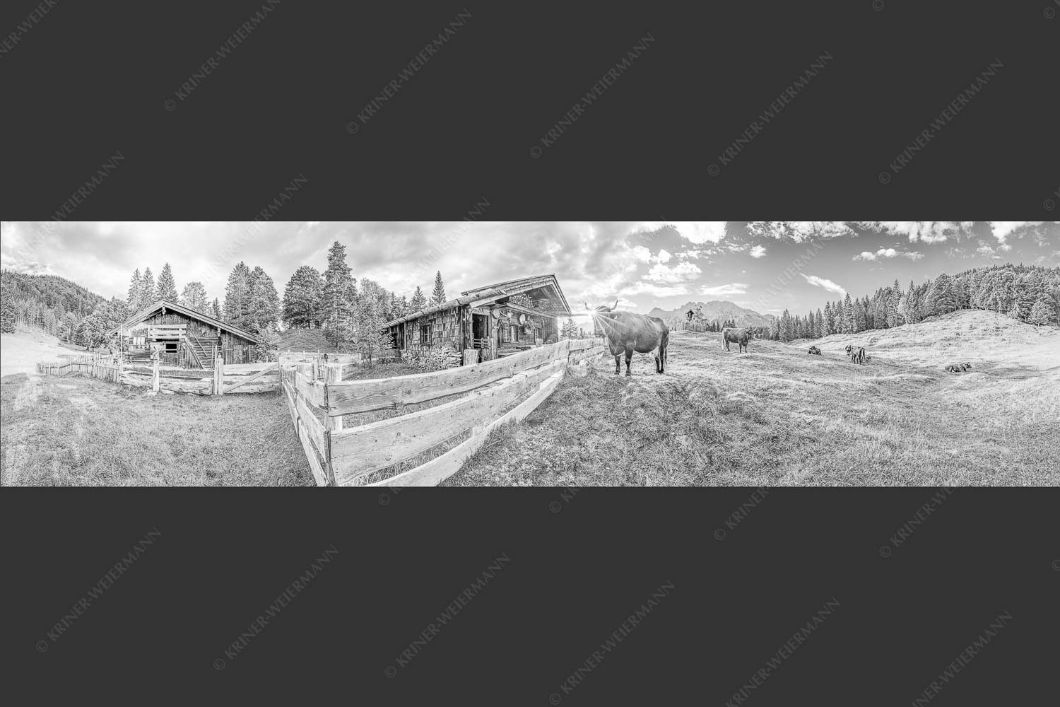 Malerische Almhütte bei Mittenwald mit Karwendel - Almbiente IV 4:1 sw -- Mittenwald Alm Buckelwiesen Karwendel - mehr Infos bei www.Kriner-Weiermann.de